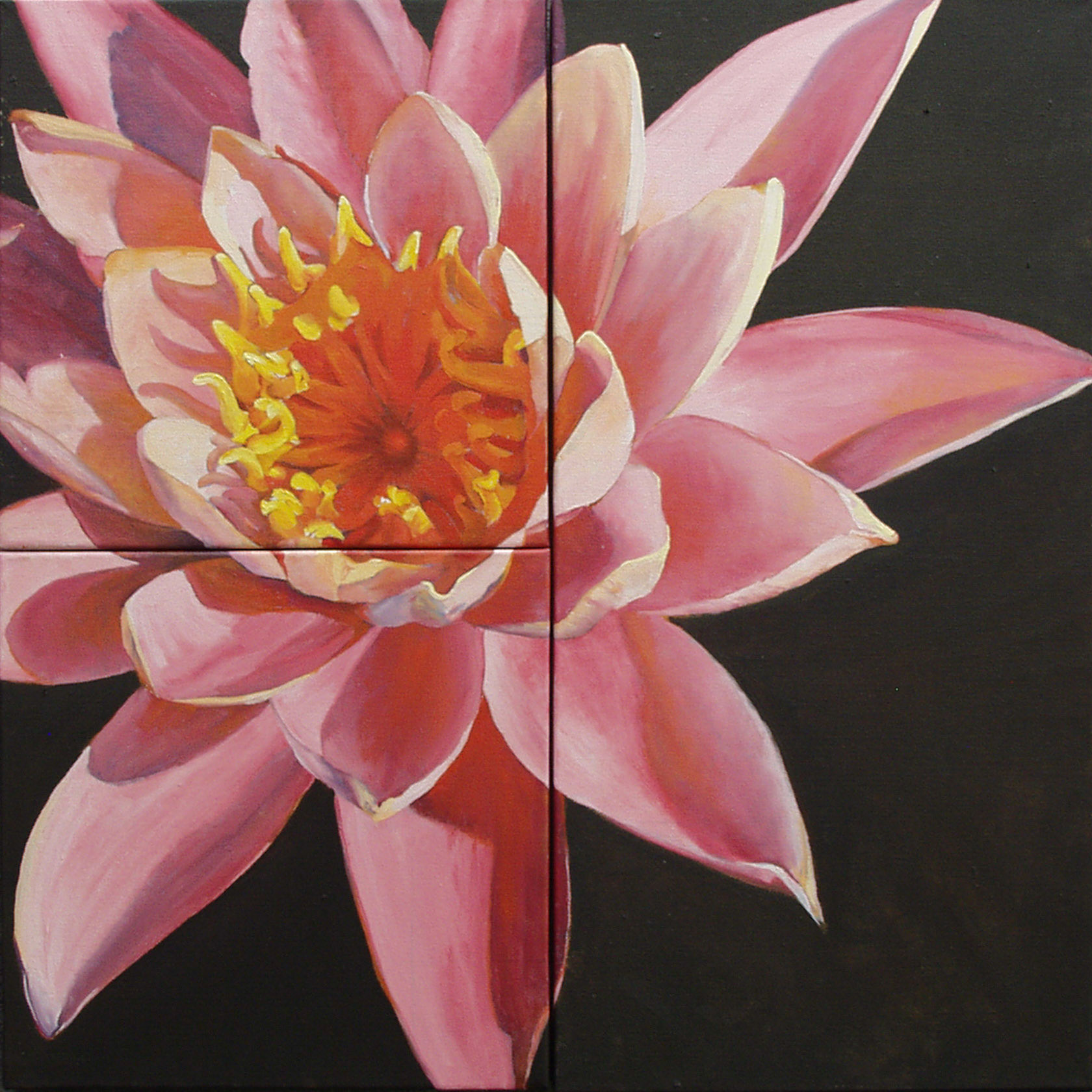 OLYMPUS DIGITAL CAMERA