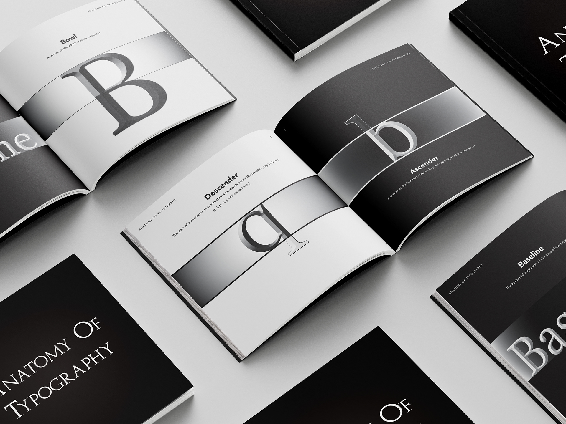 Anatomy of Typogrpahy