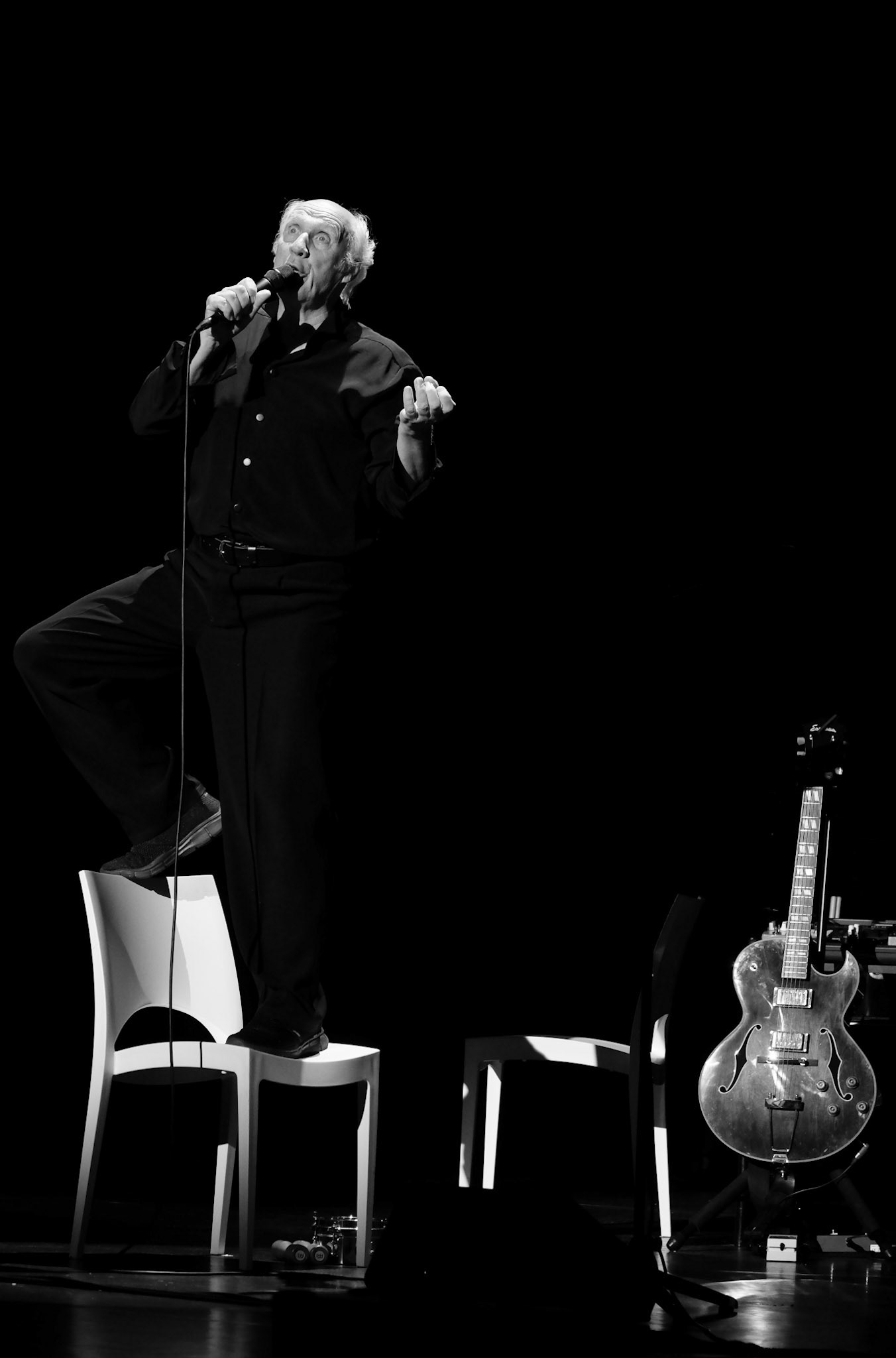 Herman van Veen