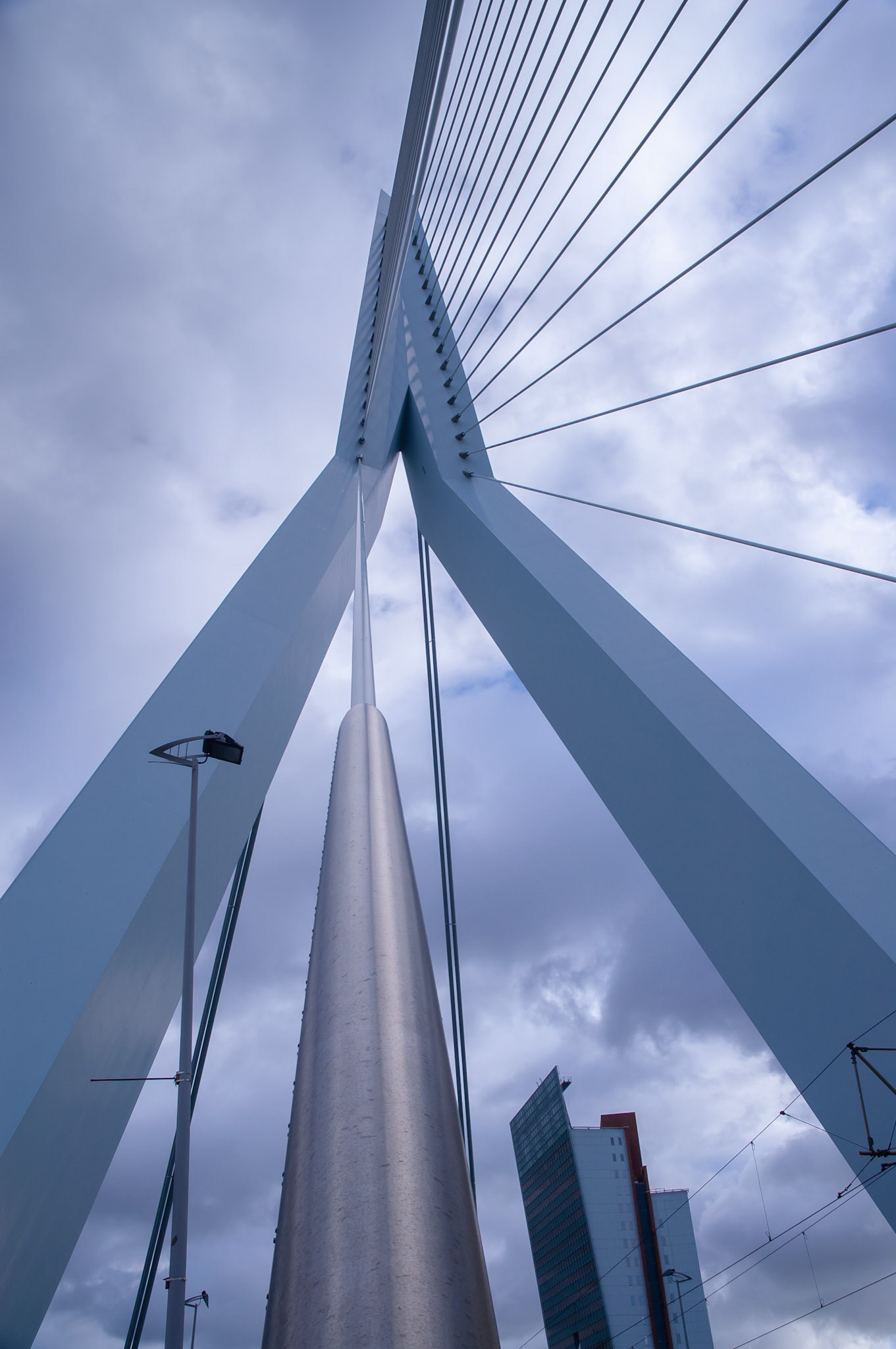 Erasmusbrug, Rotterdam