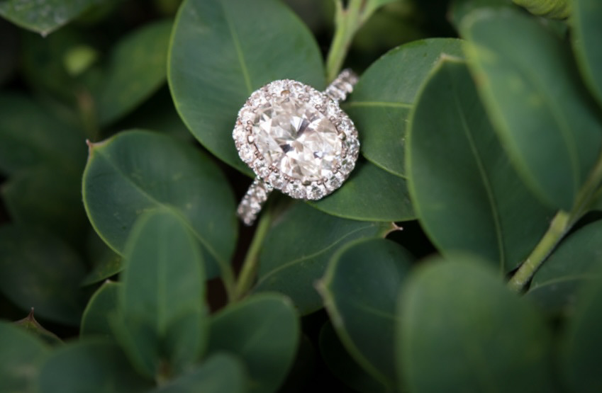 Wedding Ring in a plant