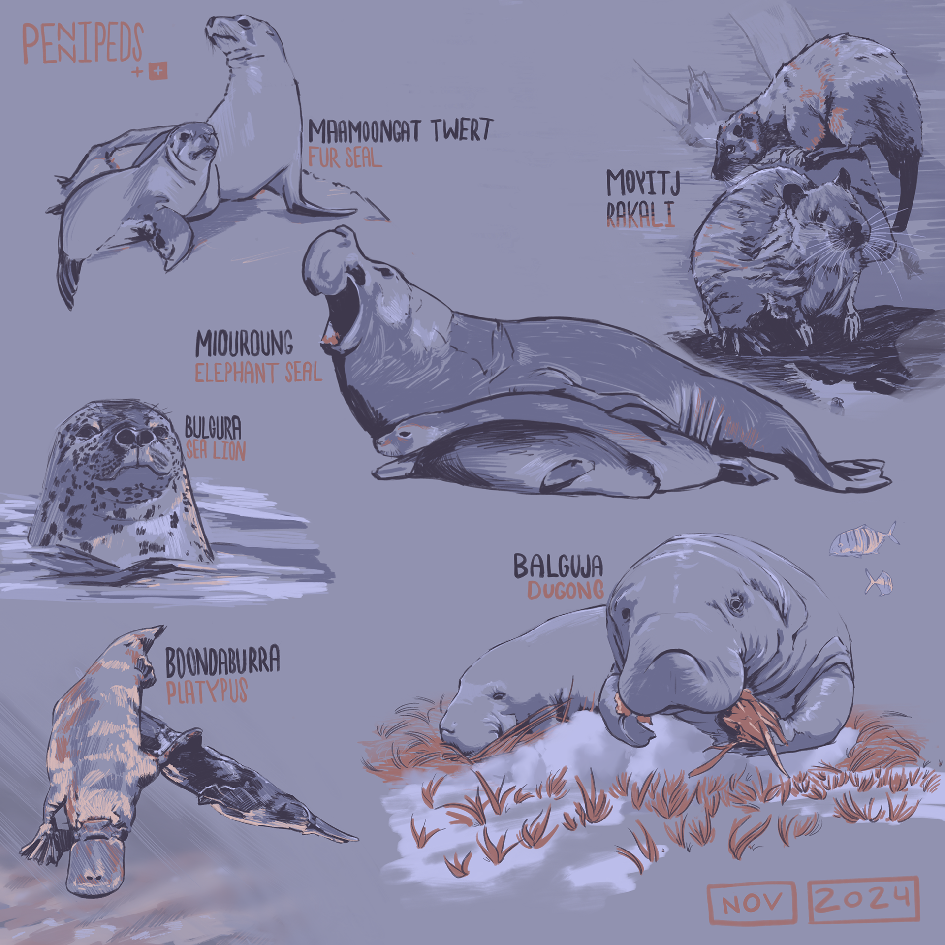 4 - Pennipeds (And More!) | NOV 2024