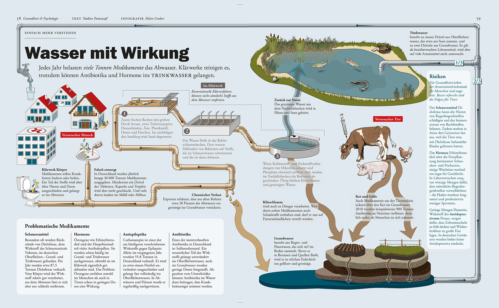 Zeit Wissen 2012