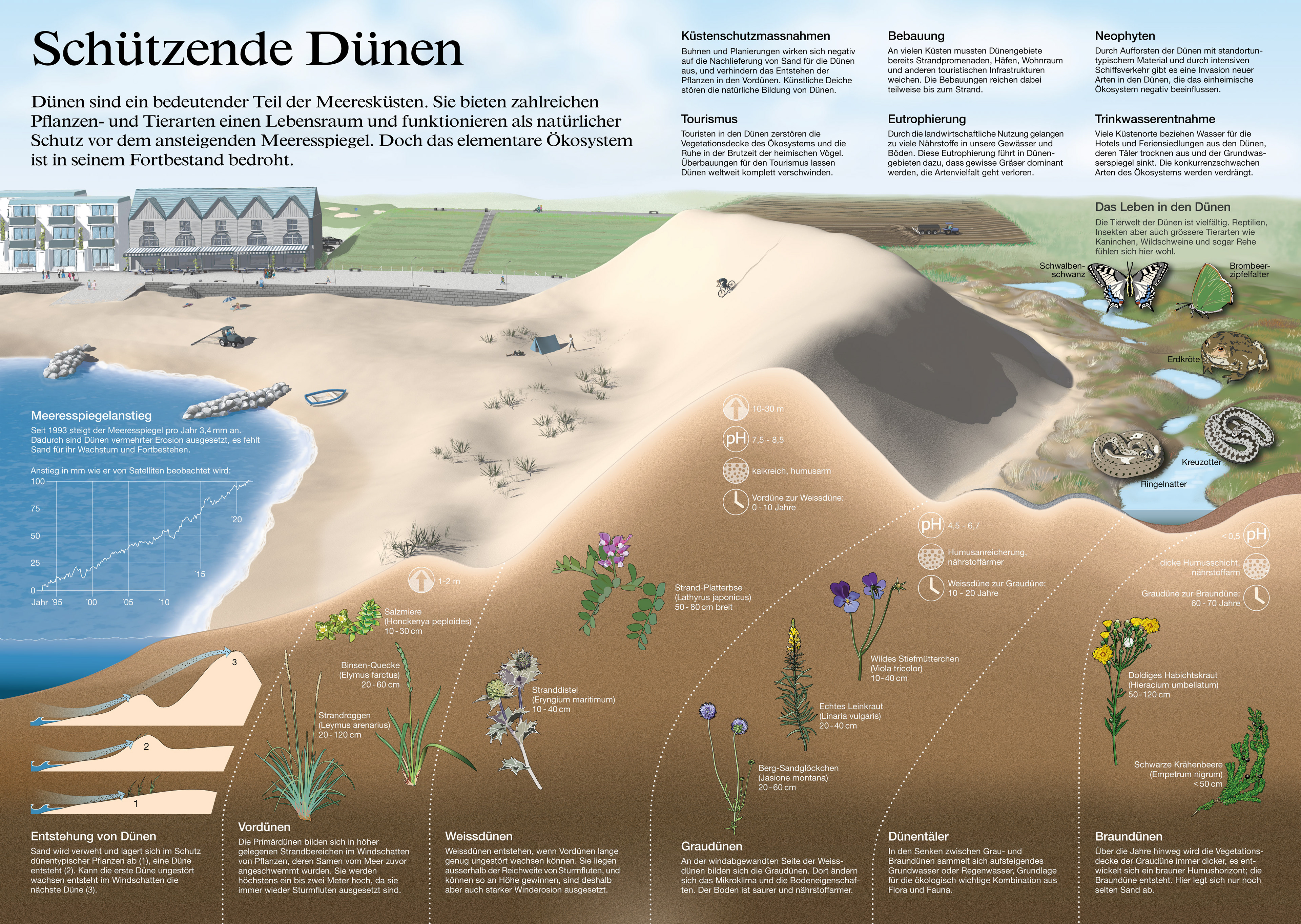 greenpeace magazine 2022