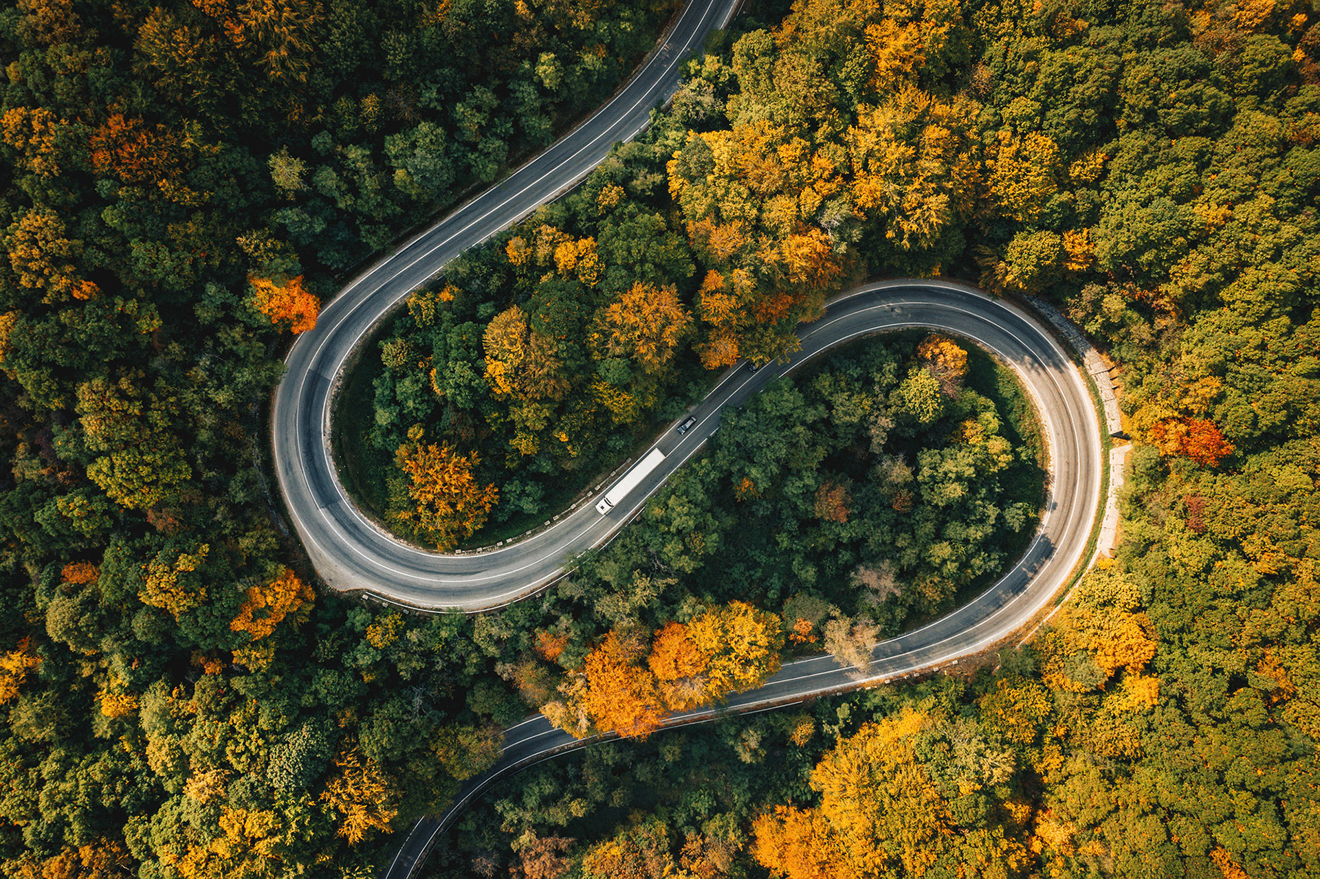 Truck on winding road in the forest