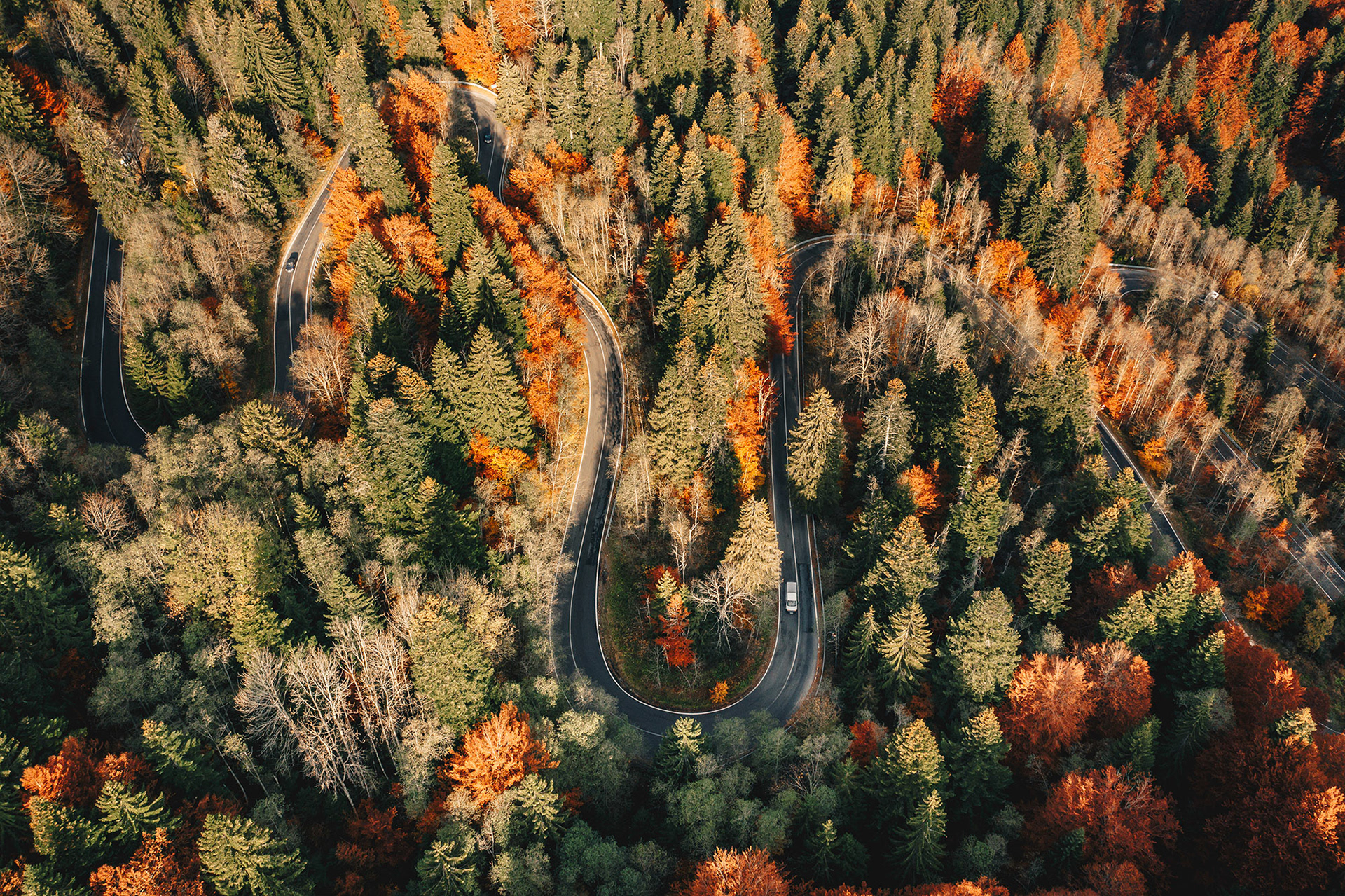 Winding curved road in the forest high up in the mountains