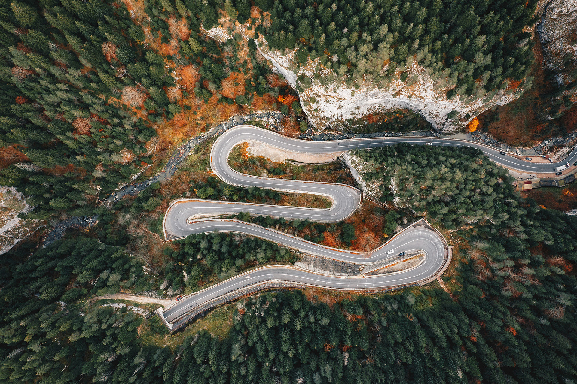 Scenic road in the middle of the forest