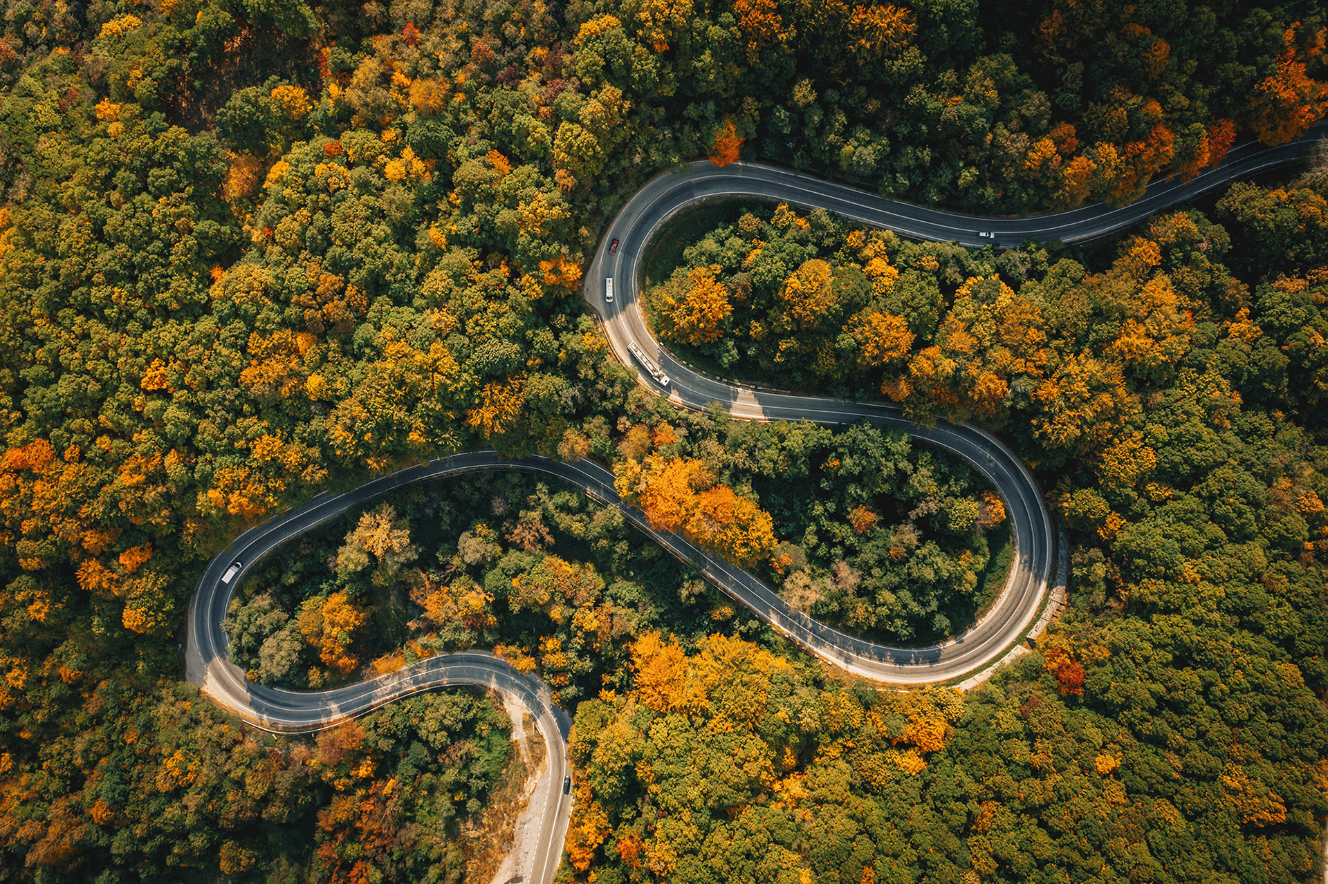 Road seen from above. Aerial view of an extreme winding curved road in the middle of the forest
