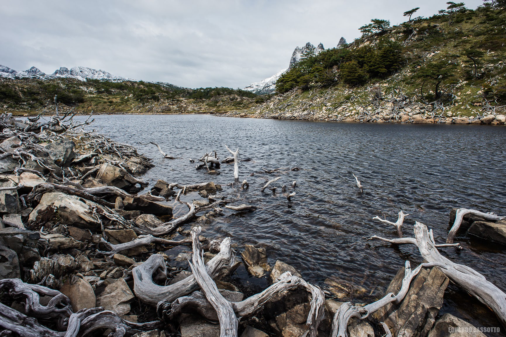 Dientes de Navarino - 2017