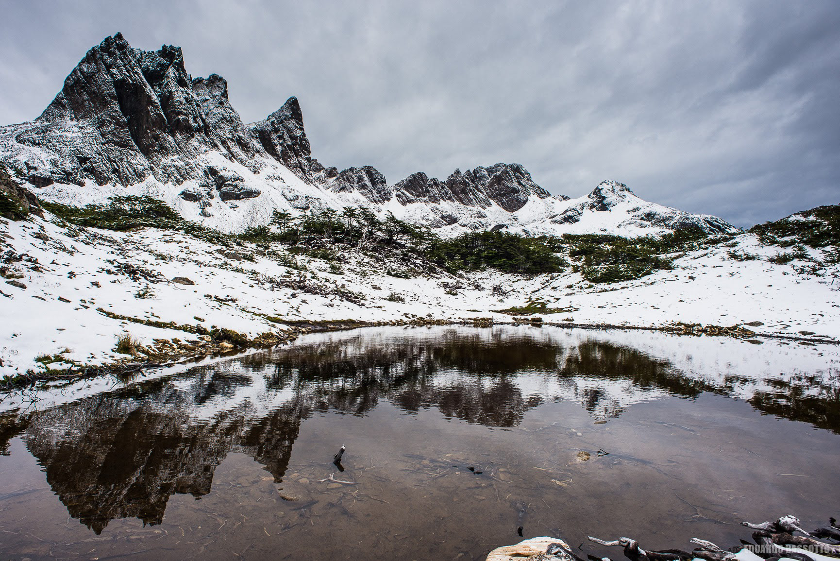 Dientes de Navarino - 2017