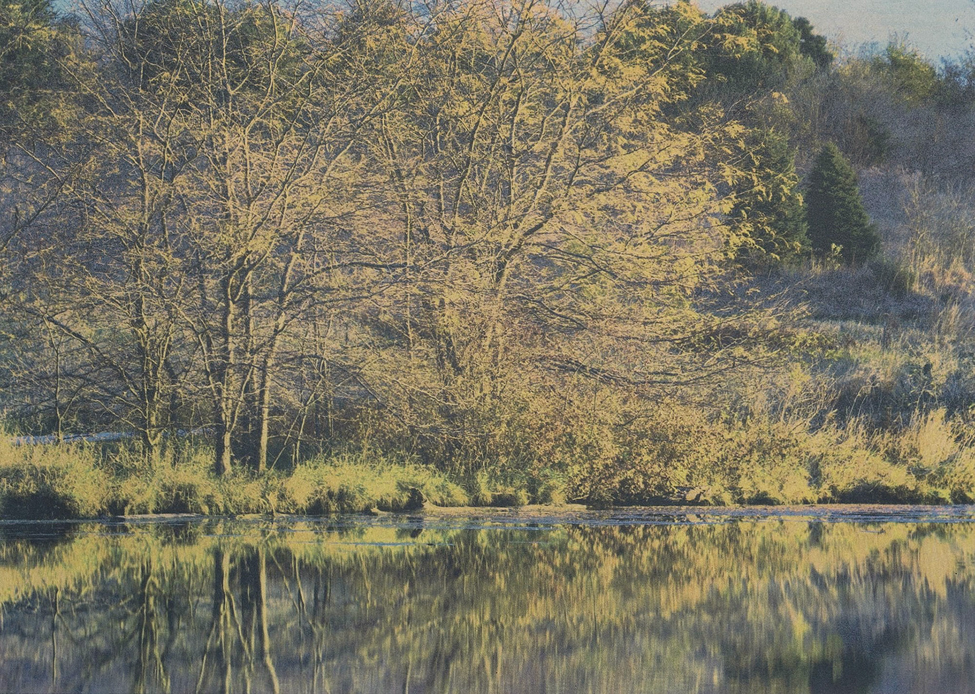 "Walnut Creek, Sarpy County, NE" - Gum bichromate over palladium/gold toned kallitype