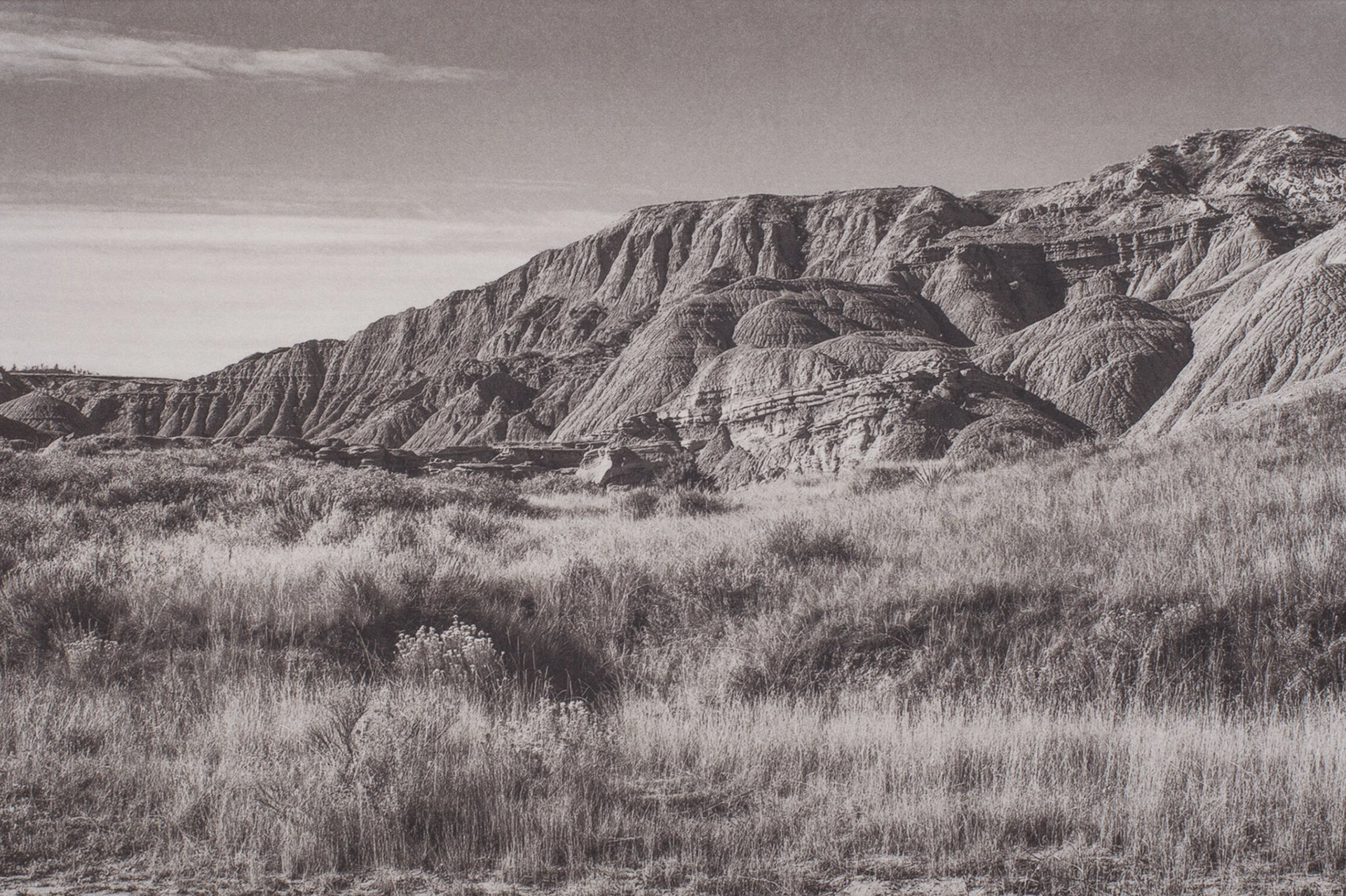 "Oglala Nat. Grasslands, Dawes County, NE" - Palladium/gold toned kallitype