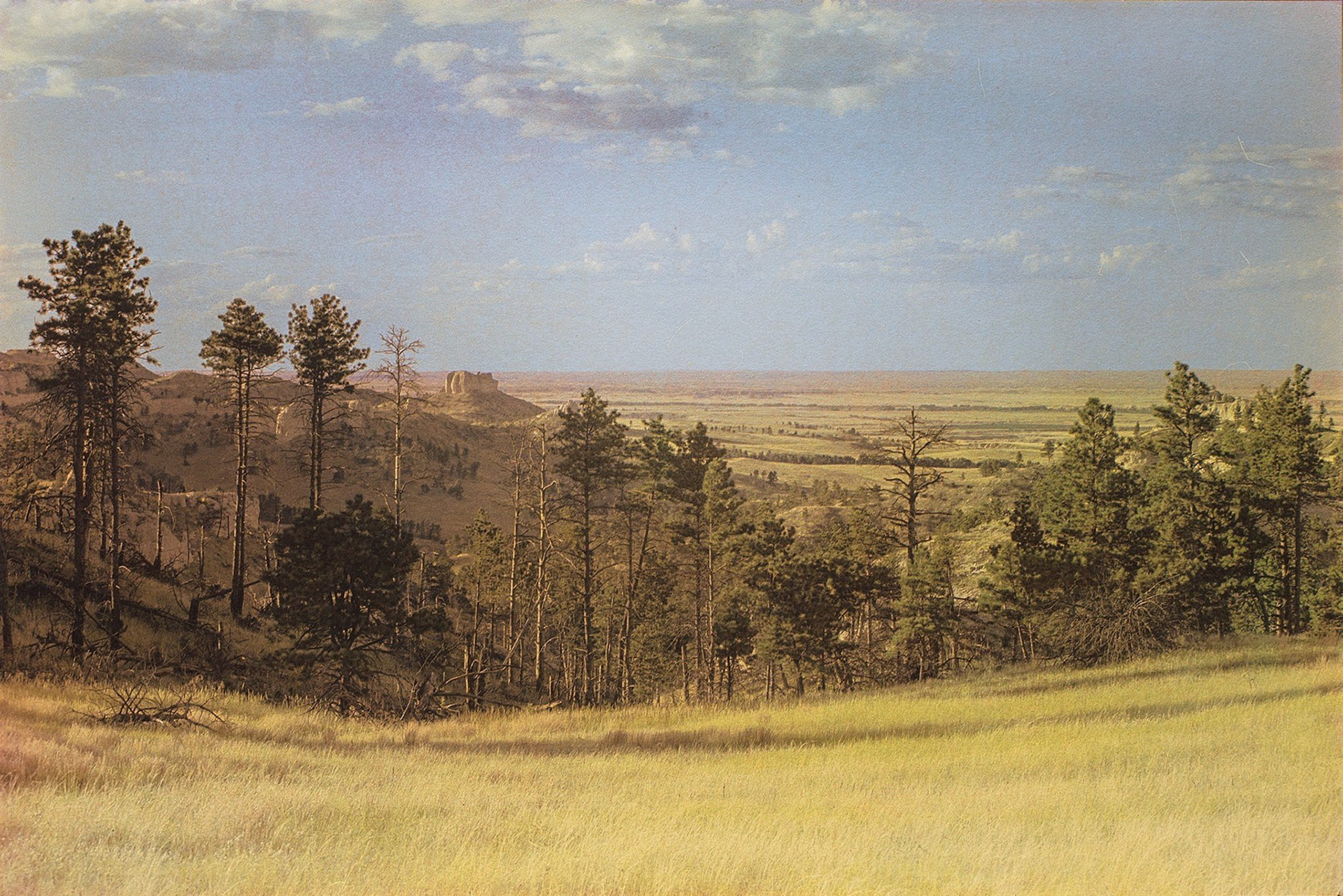 "Pine Ridge Escarpment, Sioux County, NE" - Gum bichromate over cyanotype