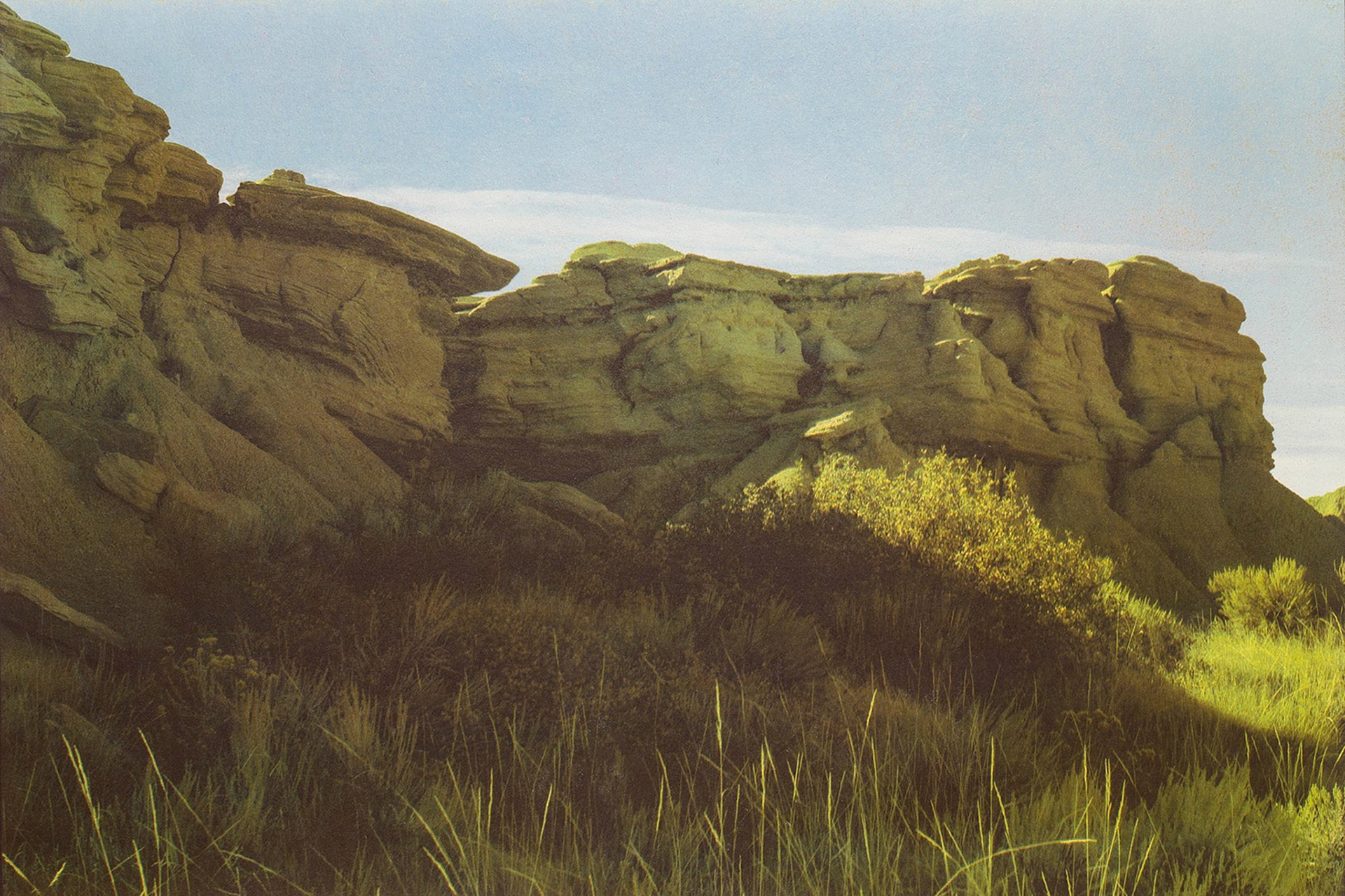 "Oglalla National Grasslands, Sioux County, NE", Gum bichromate over palladium toned kallitype