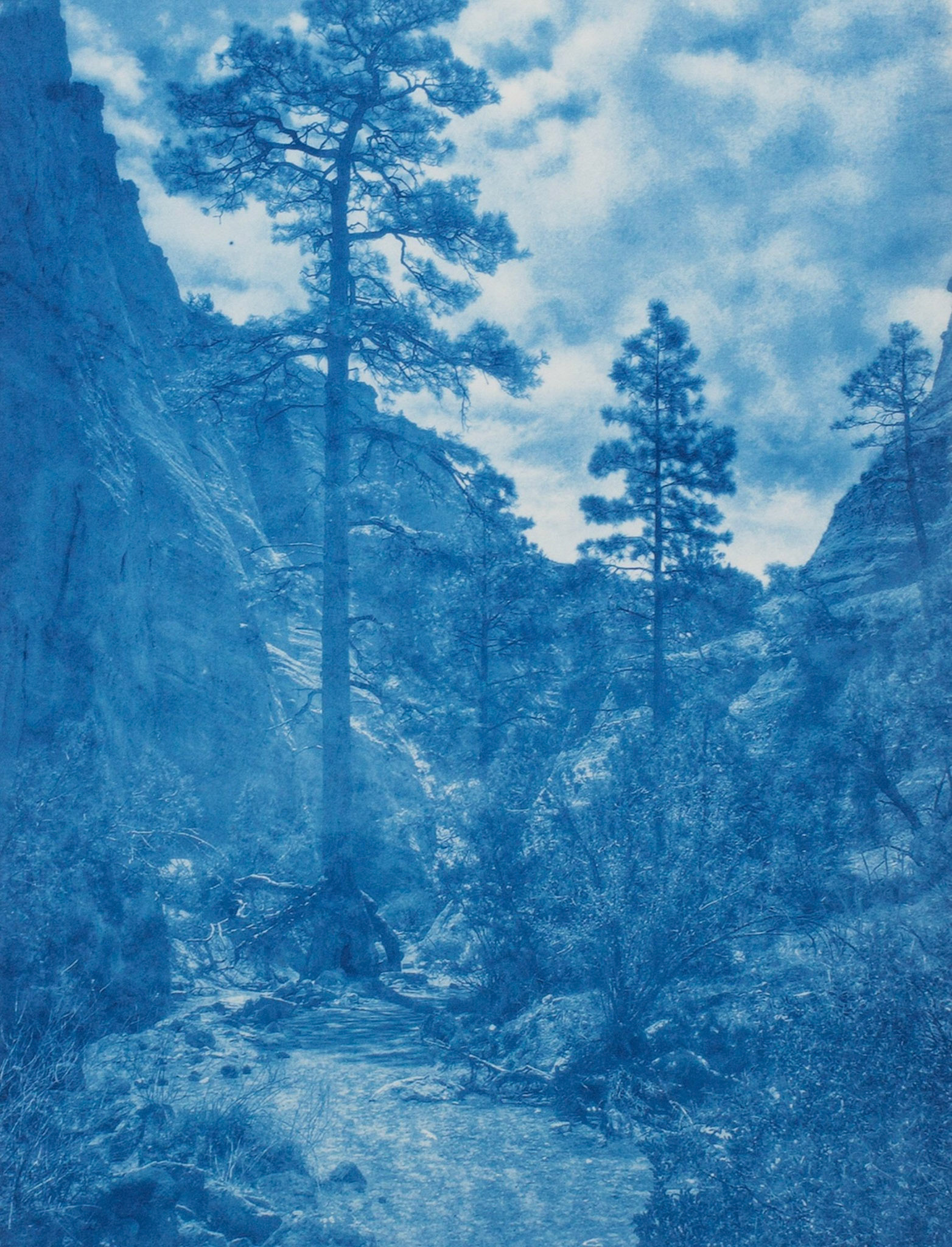 "Tent Rocks Nat. Monument, NM" - Cyanotype