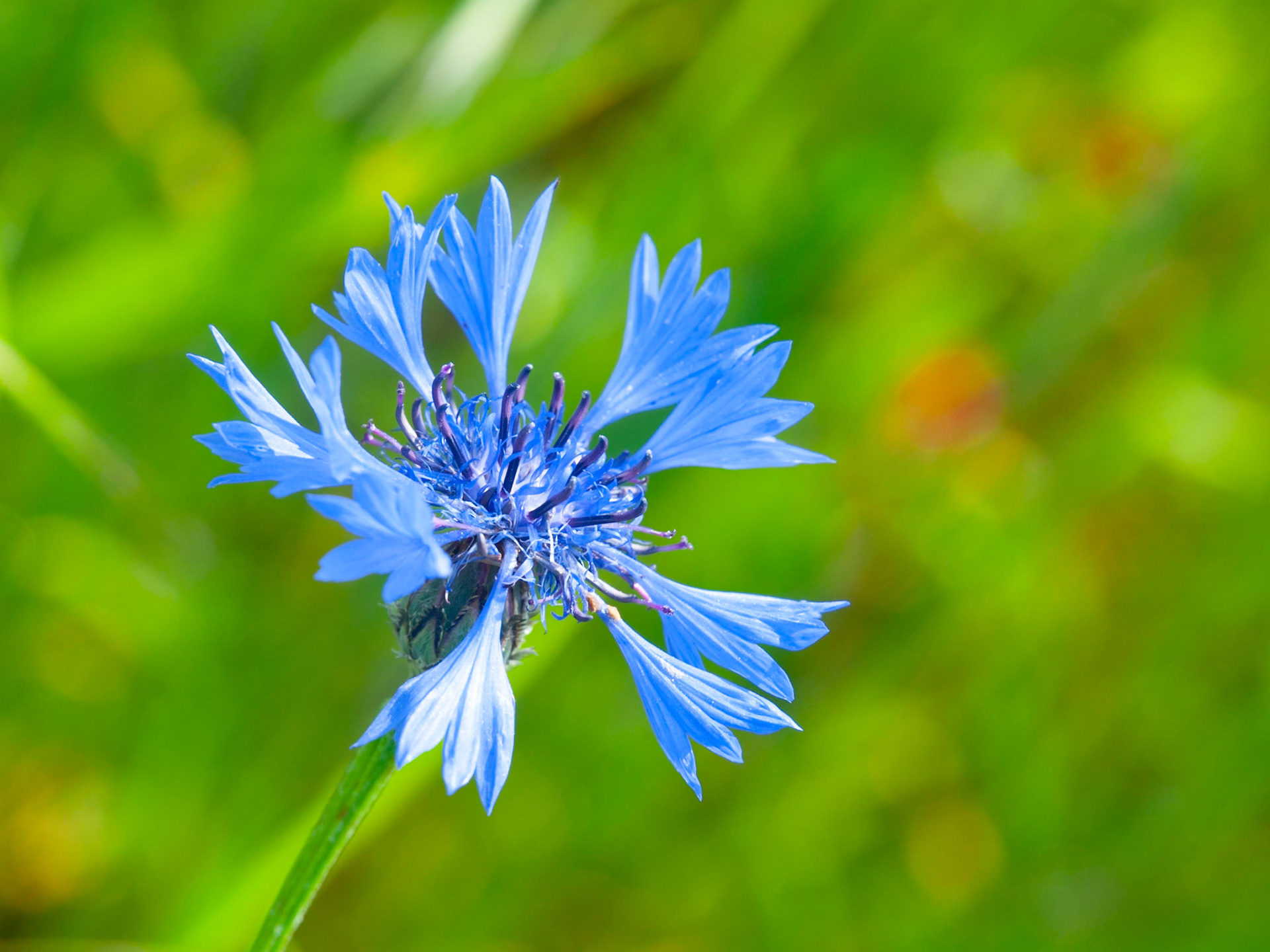 Pochuzka 15 Krivoklatsko