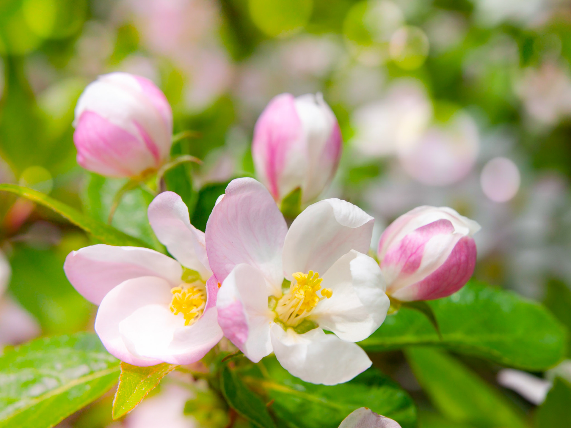 Jarni vylet do Janskych lazni