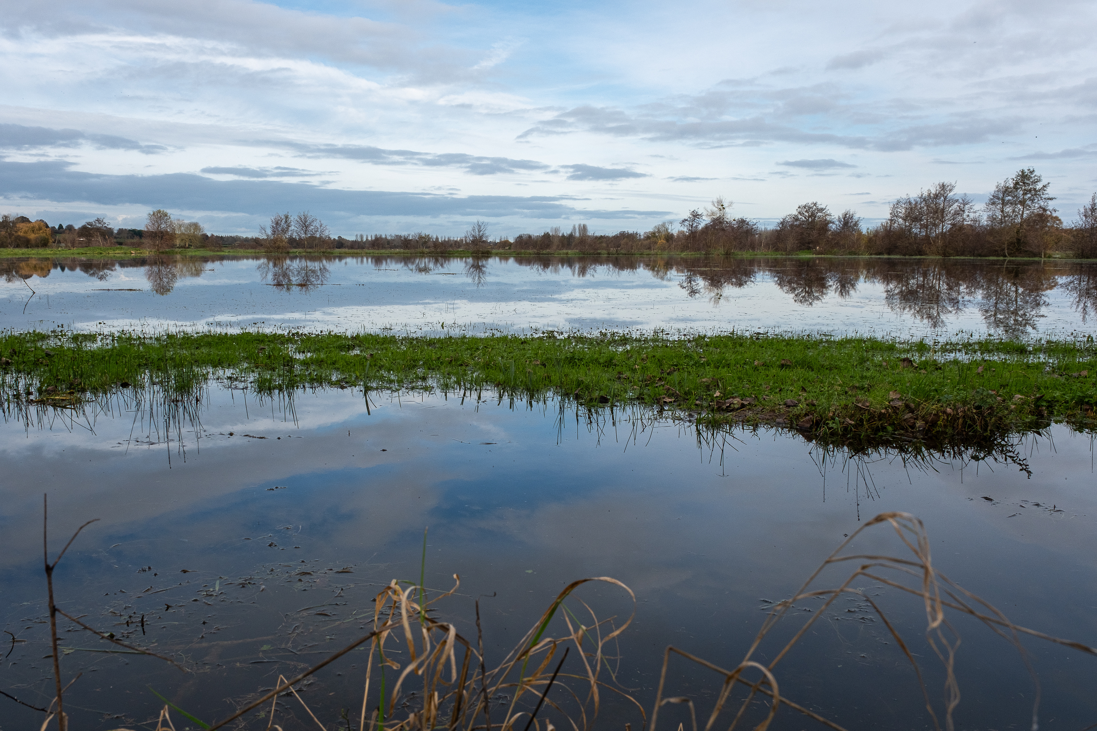 17 - Marais de Bavent/Robehomme