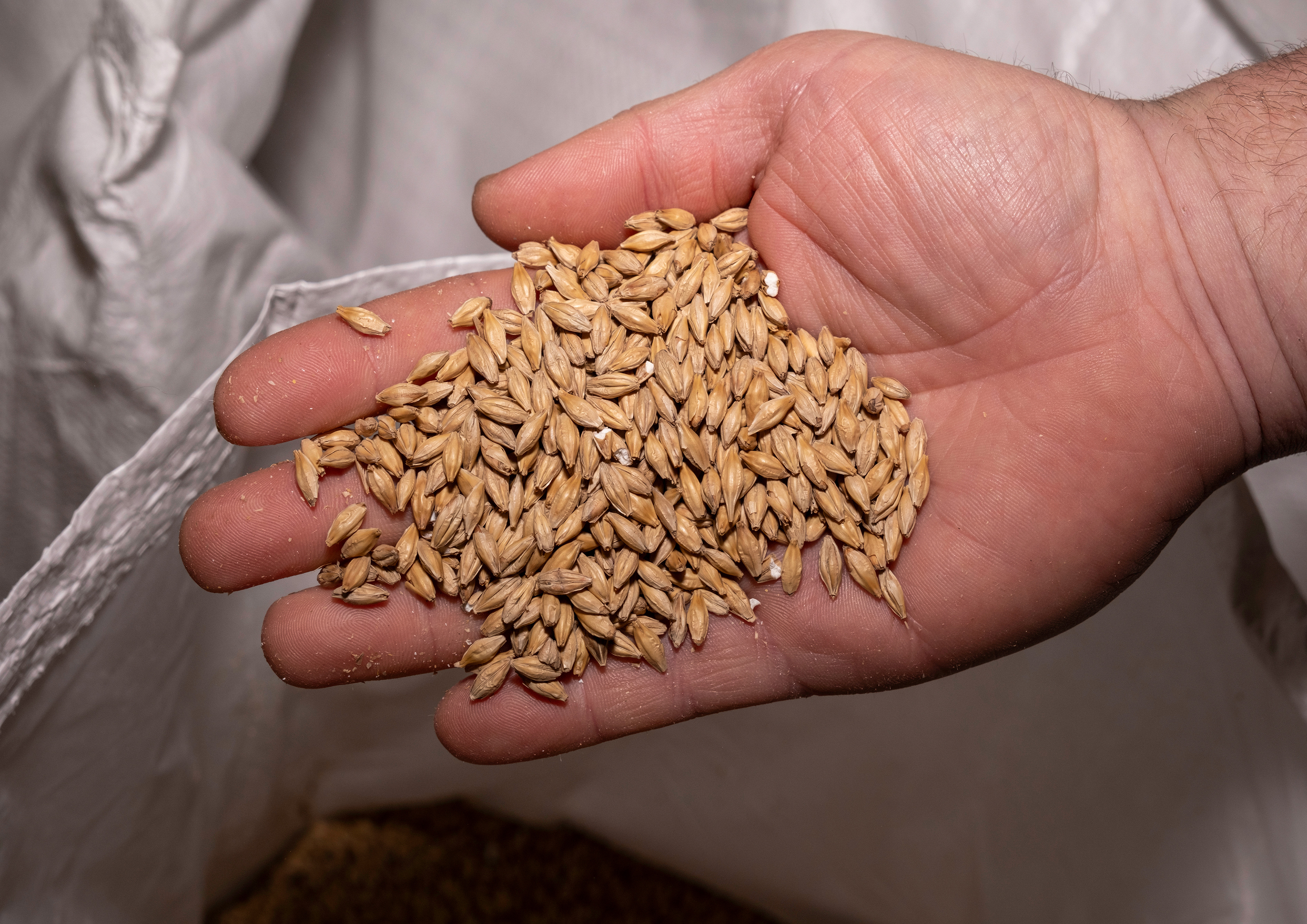 1 - Brasserie des 9 mondes - Ranville