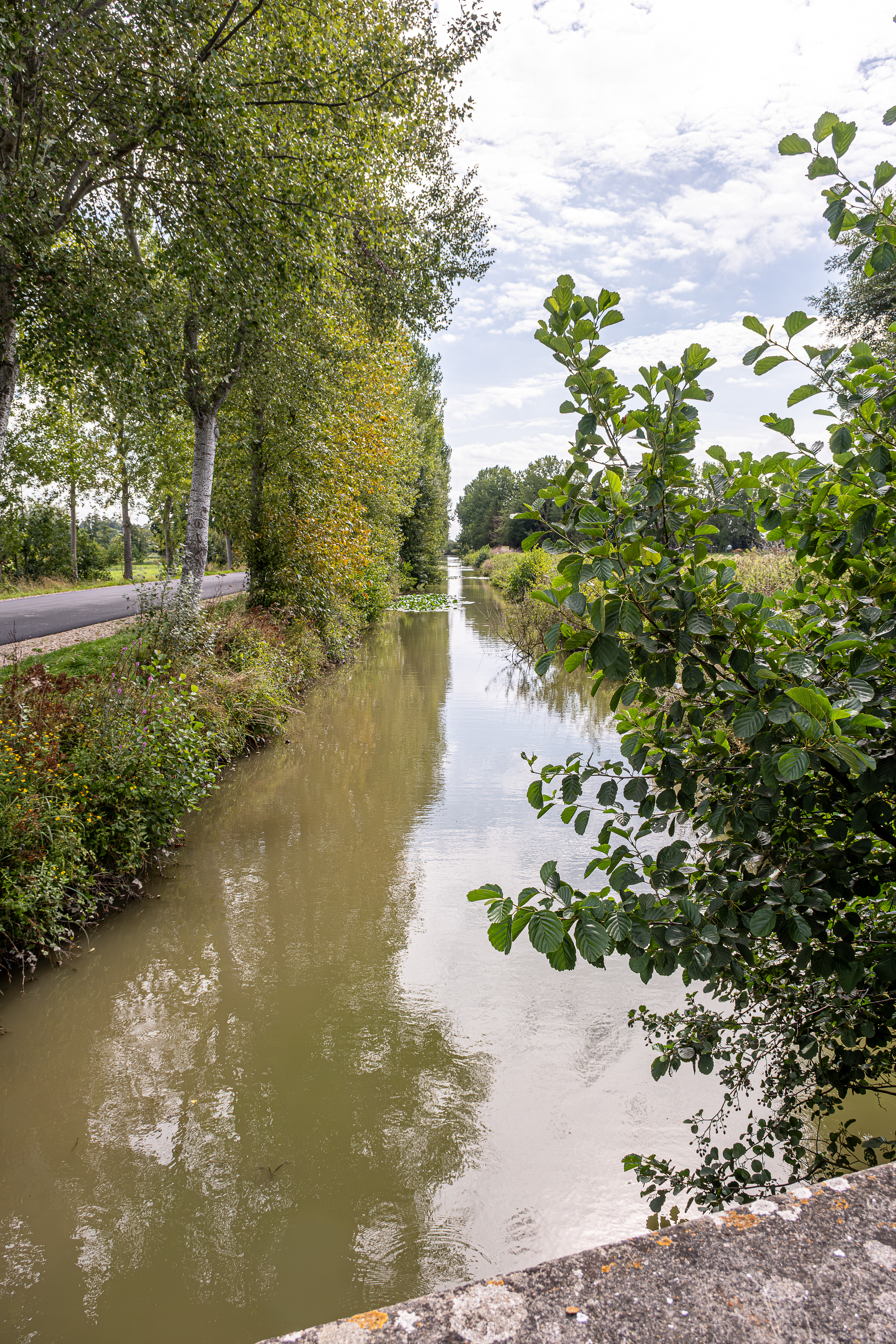 23 - Marais de Bavent/Robehomme