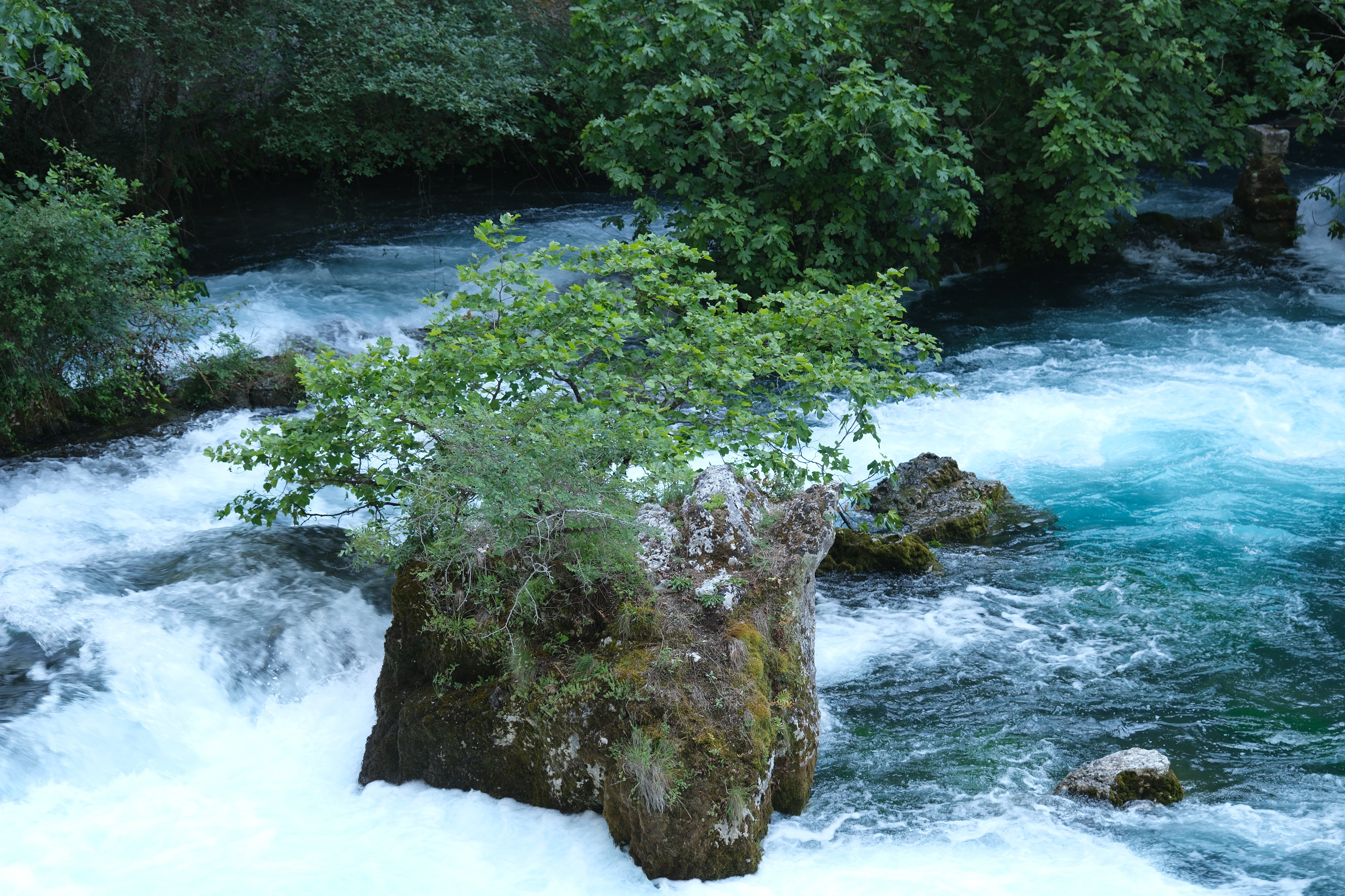 22 - Source de la Sorgue à Fontaine de Vaucluse