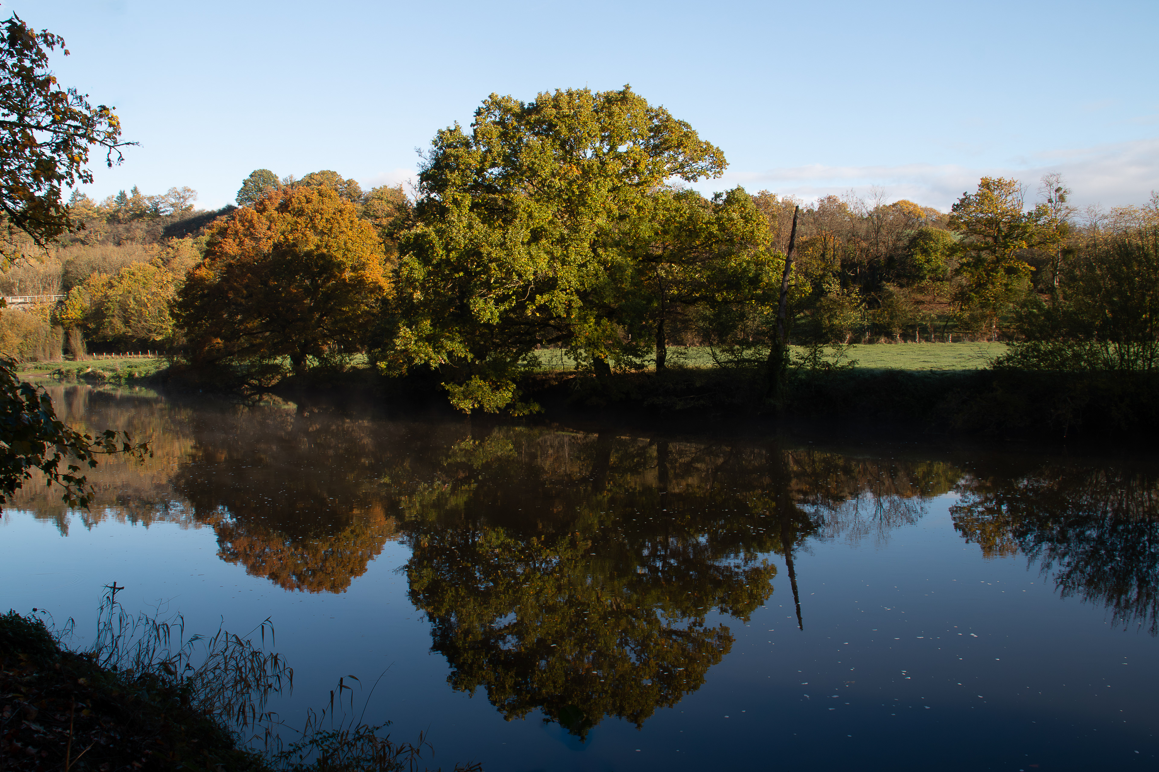 14 - Grimbosq - fleuve l'Orne