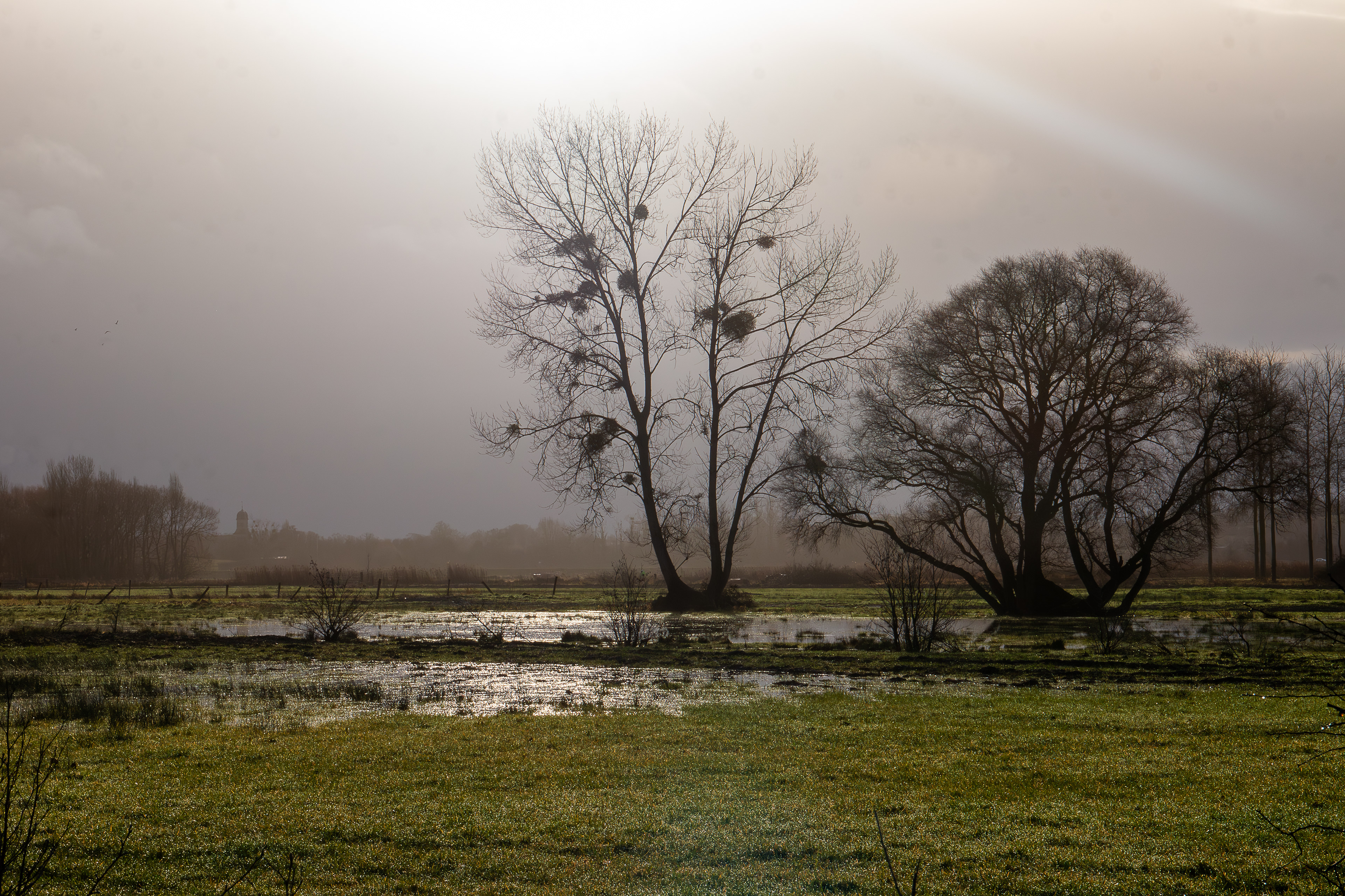 2 - Marais de Bavent/Robehomme