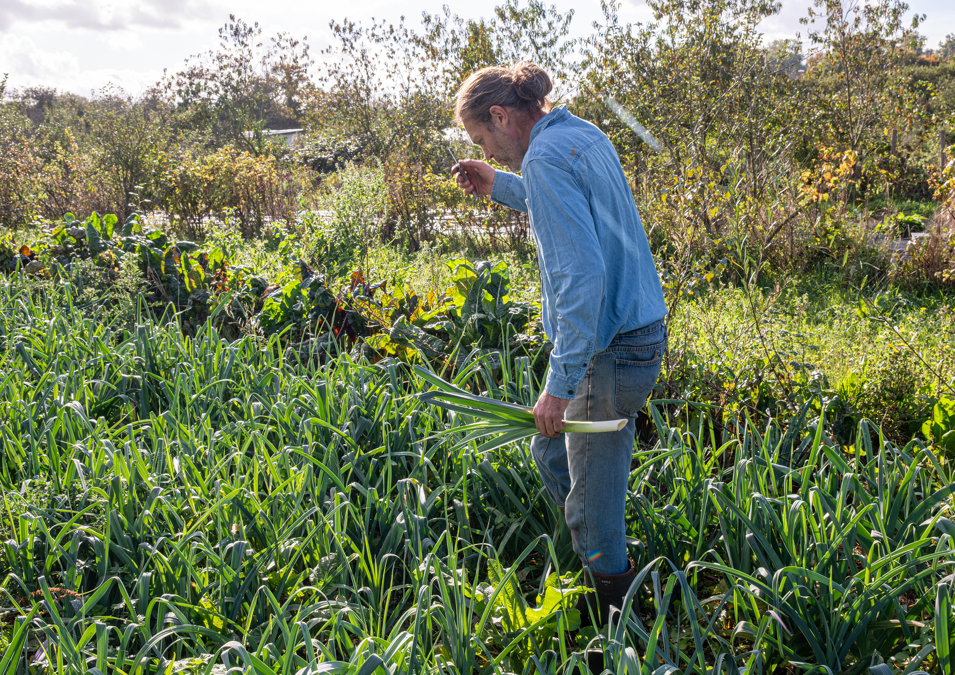 14 - Les jardins des marais - Bavent