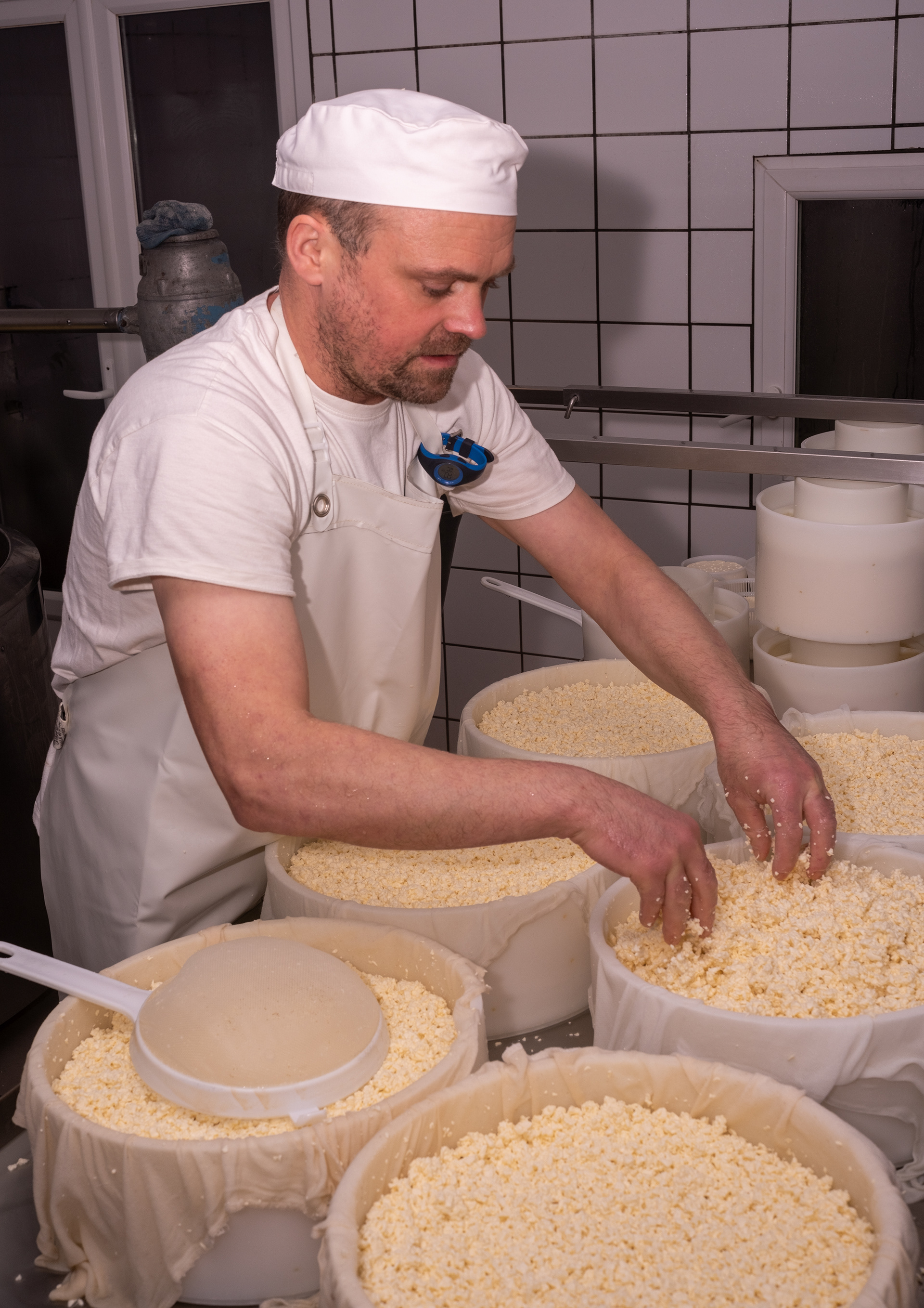 17 - Les fromages de papa - Cambremert