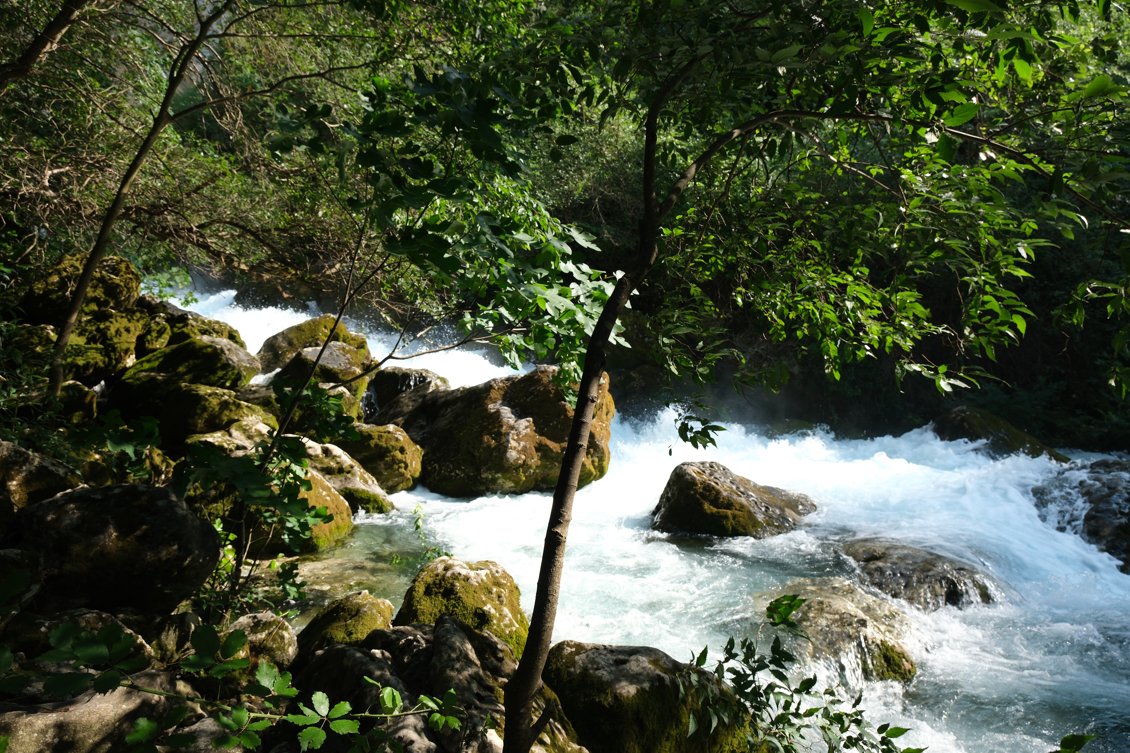 27 - Source de la Sorgue à Fontaine de Vaucluse