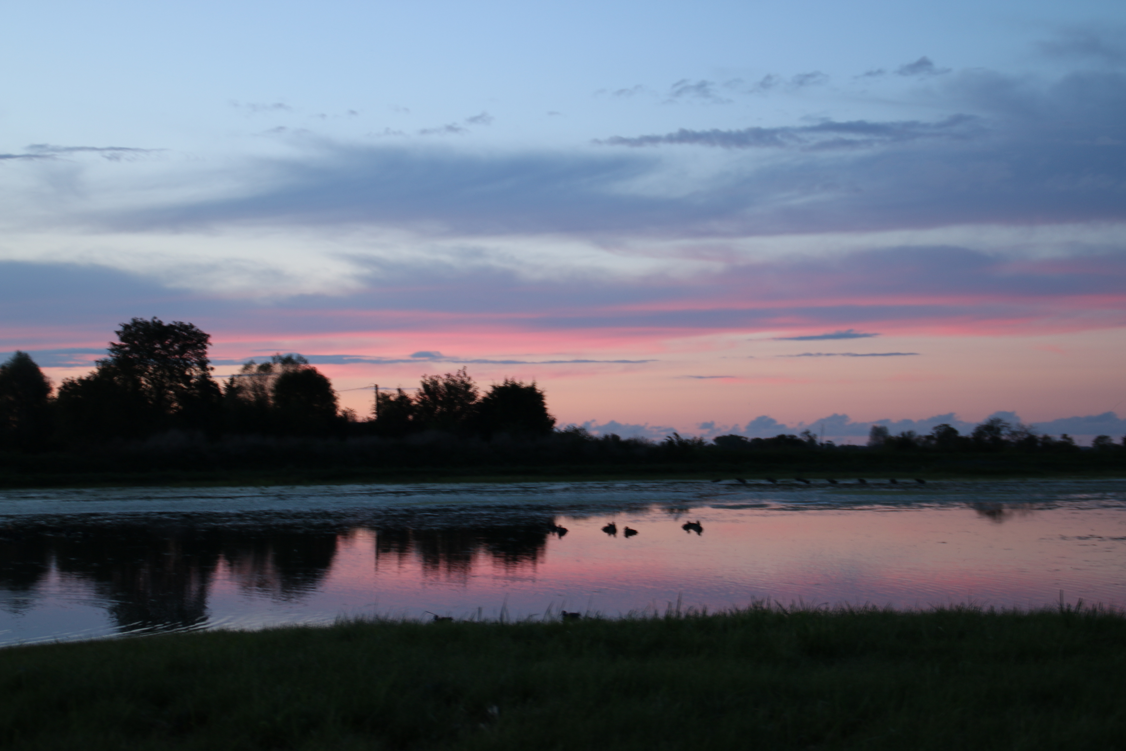 5 - Marais Goustranville