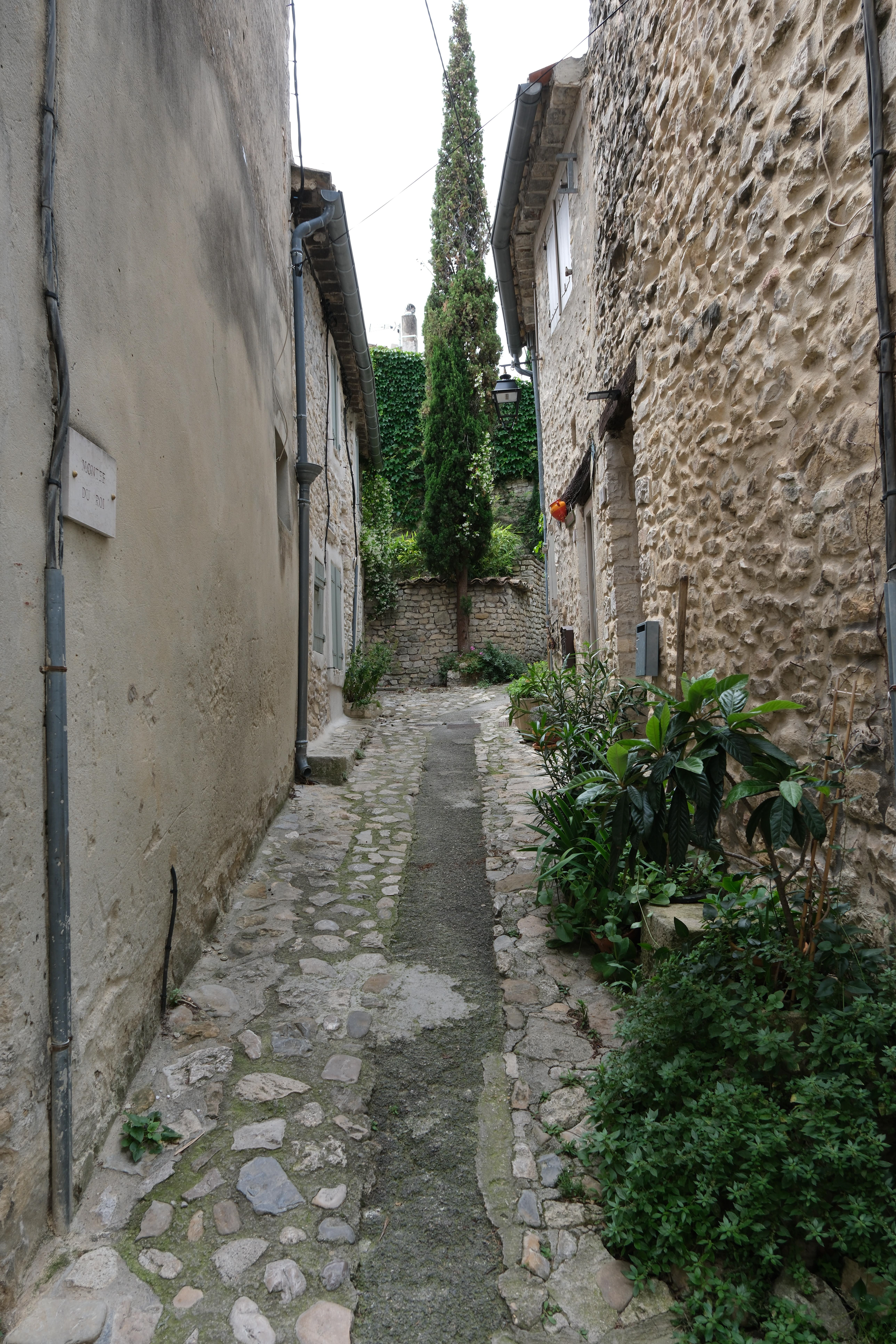8 - Vaison la Romaine - Ville haute