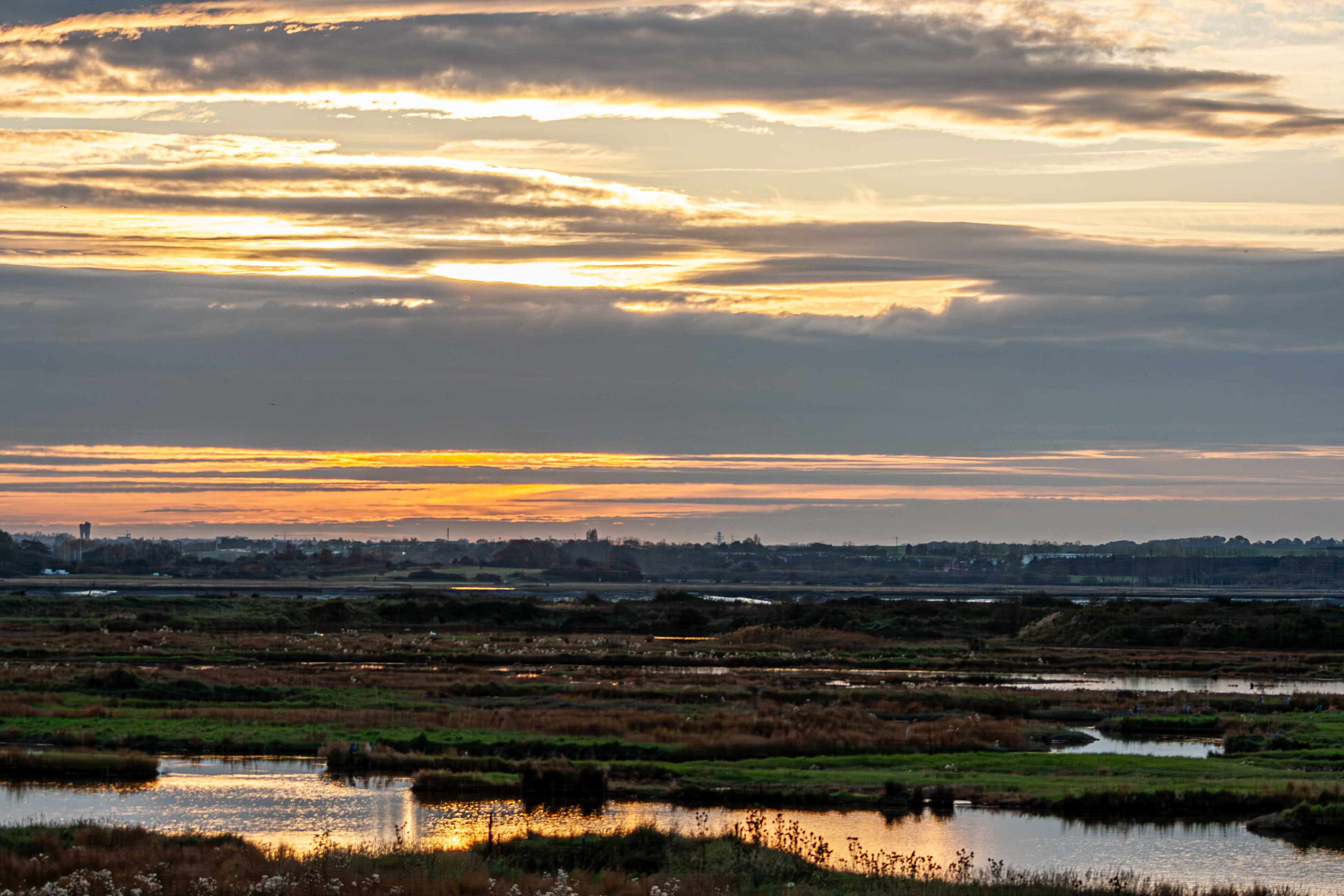 10 - Marais Goustranville