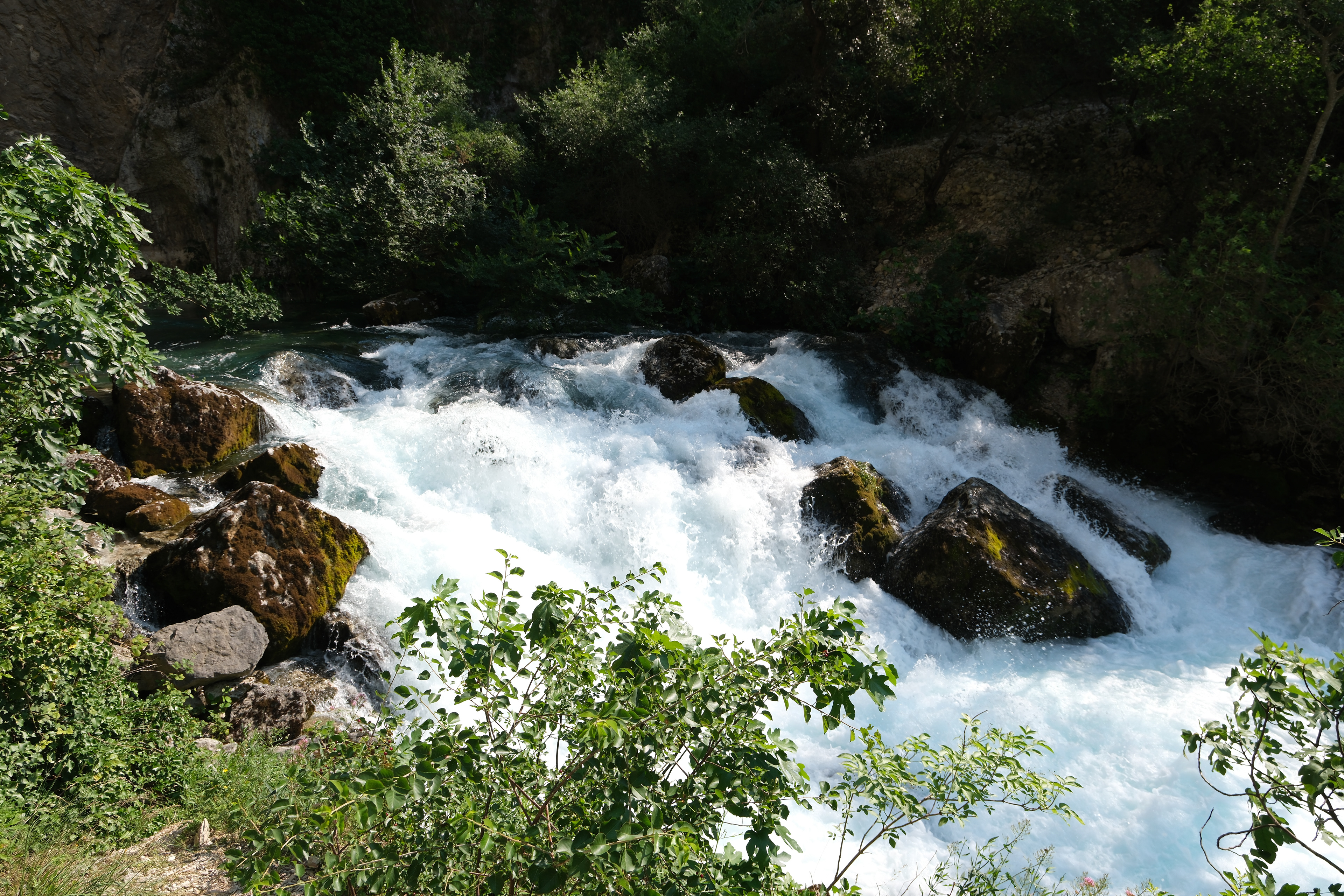 25 - Source de la Sorgue à Fontaine de Vaucluse