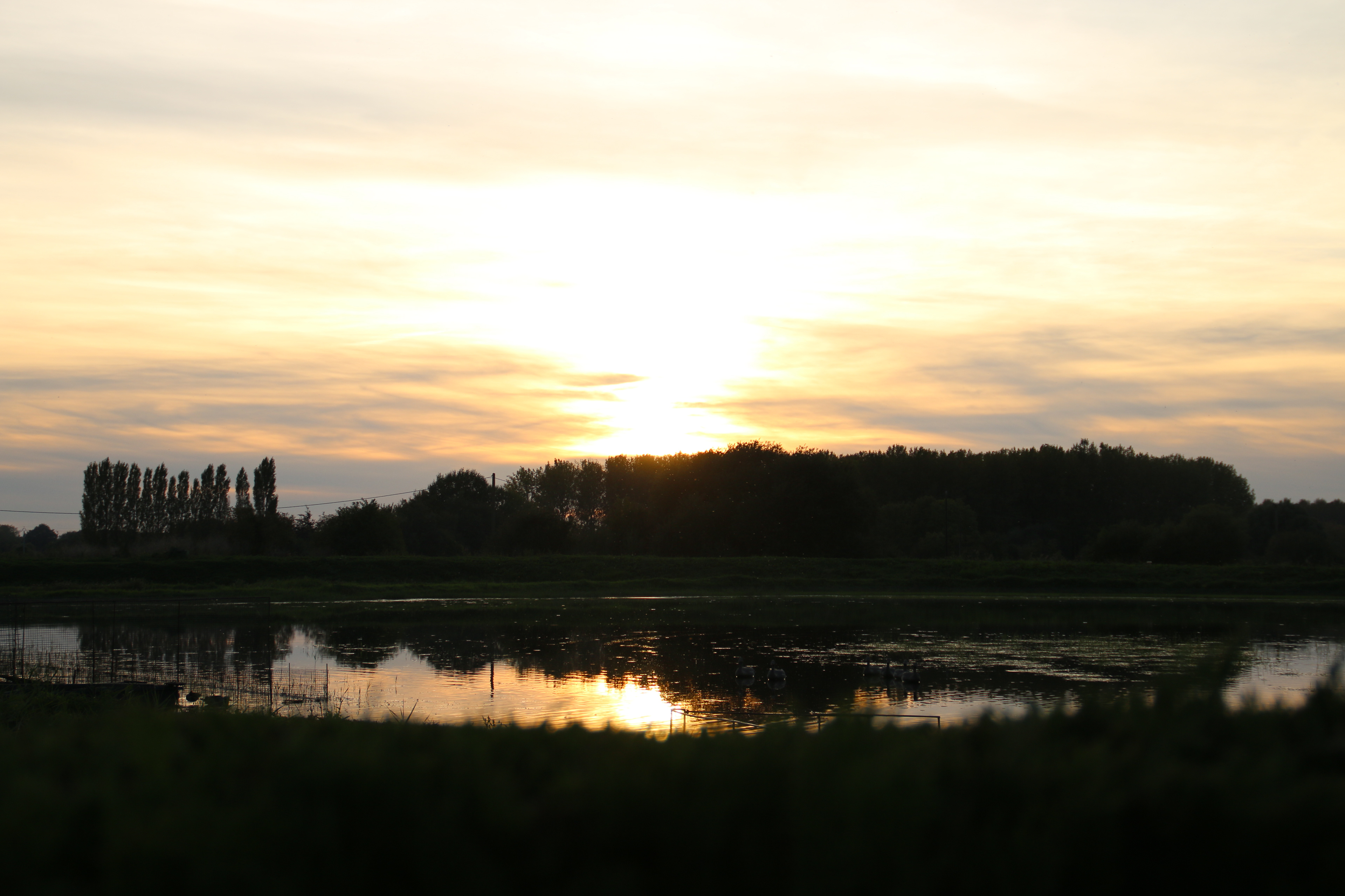 9 - Marais Goustranville