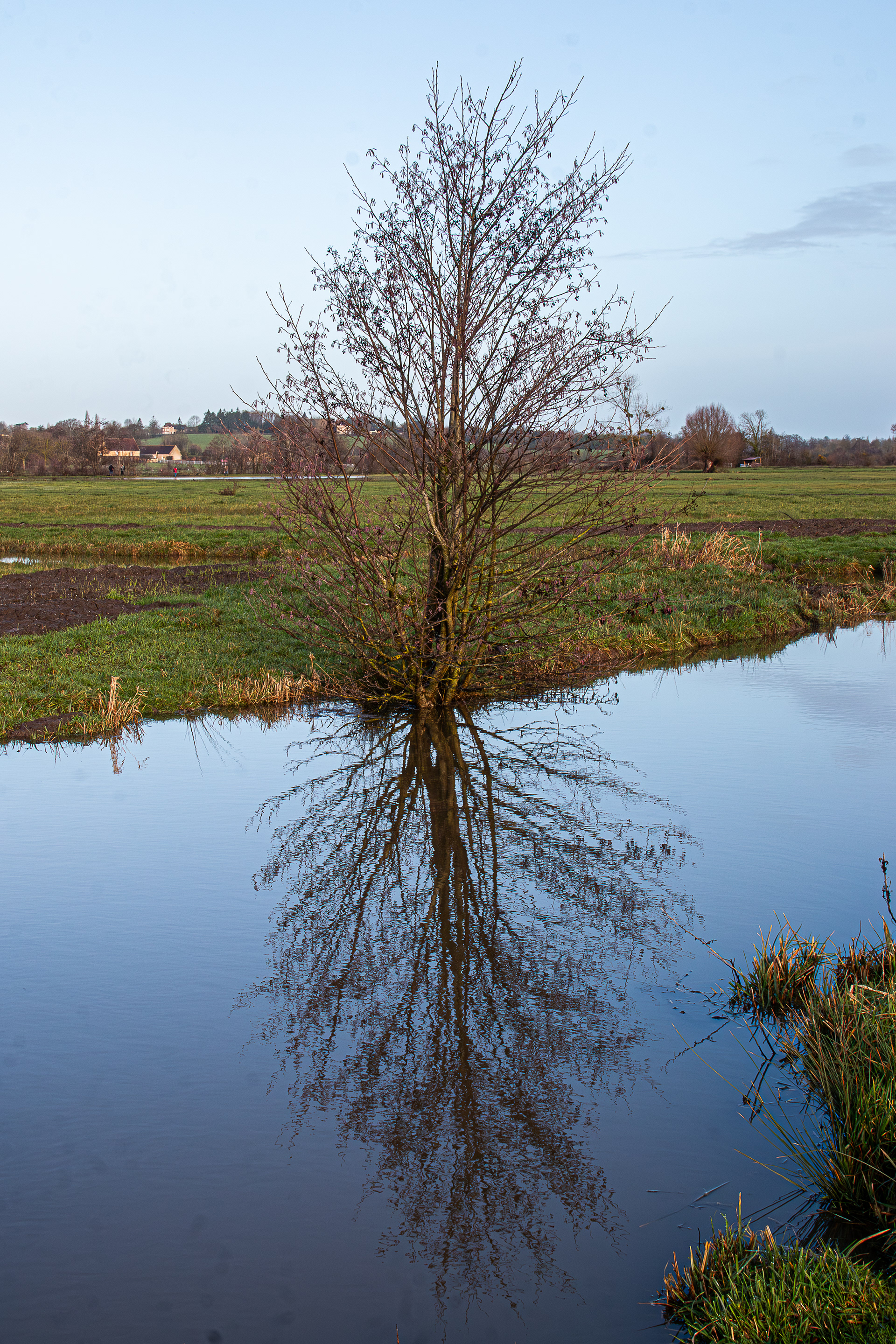 22 - Marais de Bavent/Robehomme - reflet