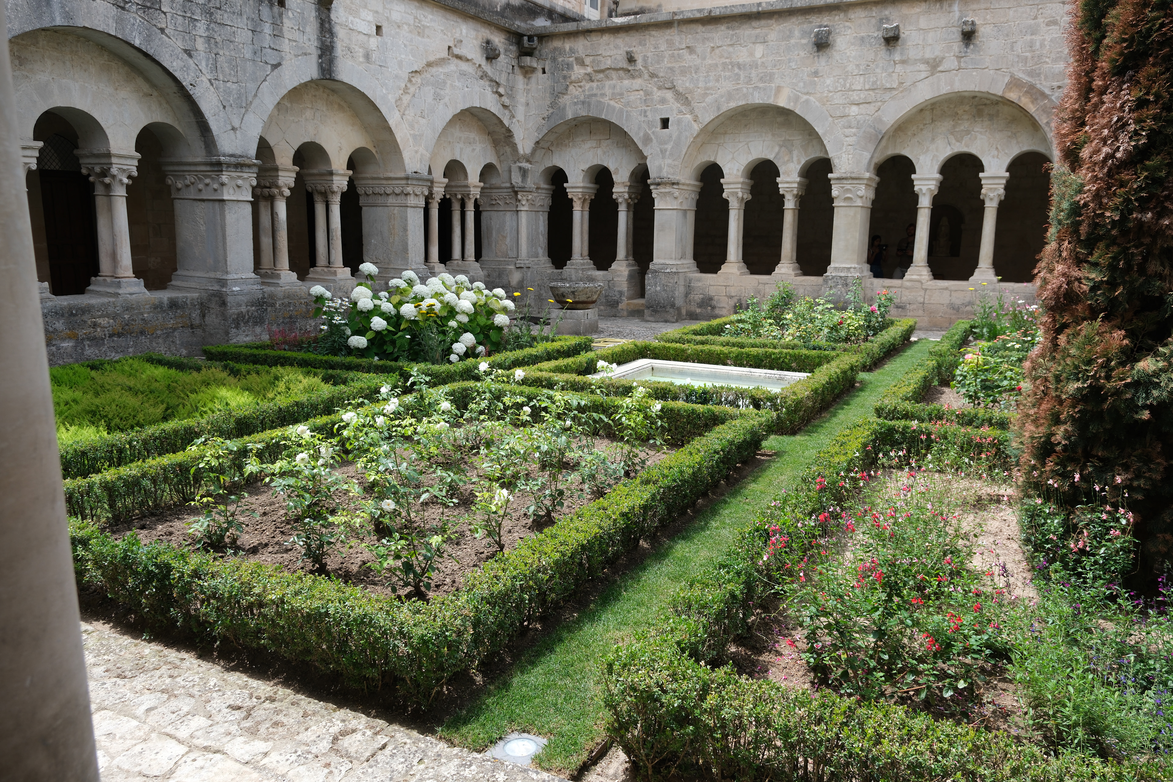 23 - Abbaye de Senanque