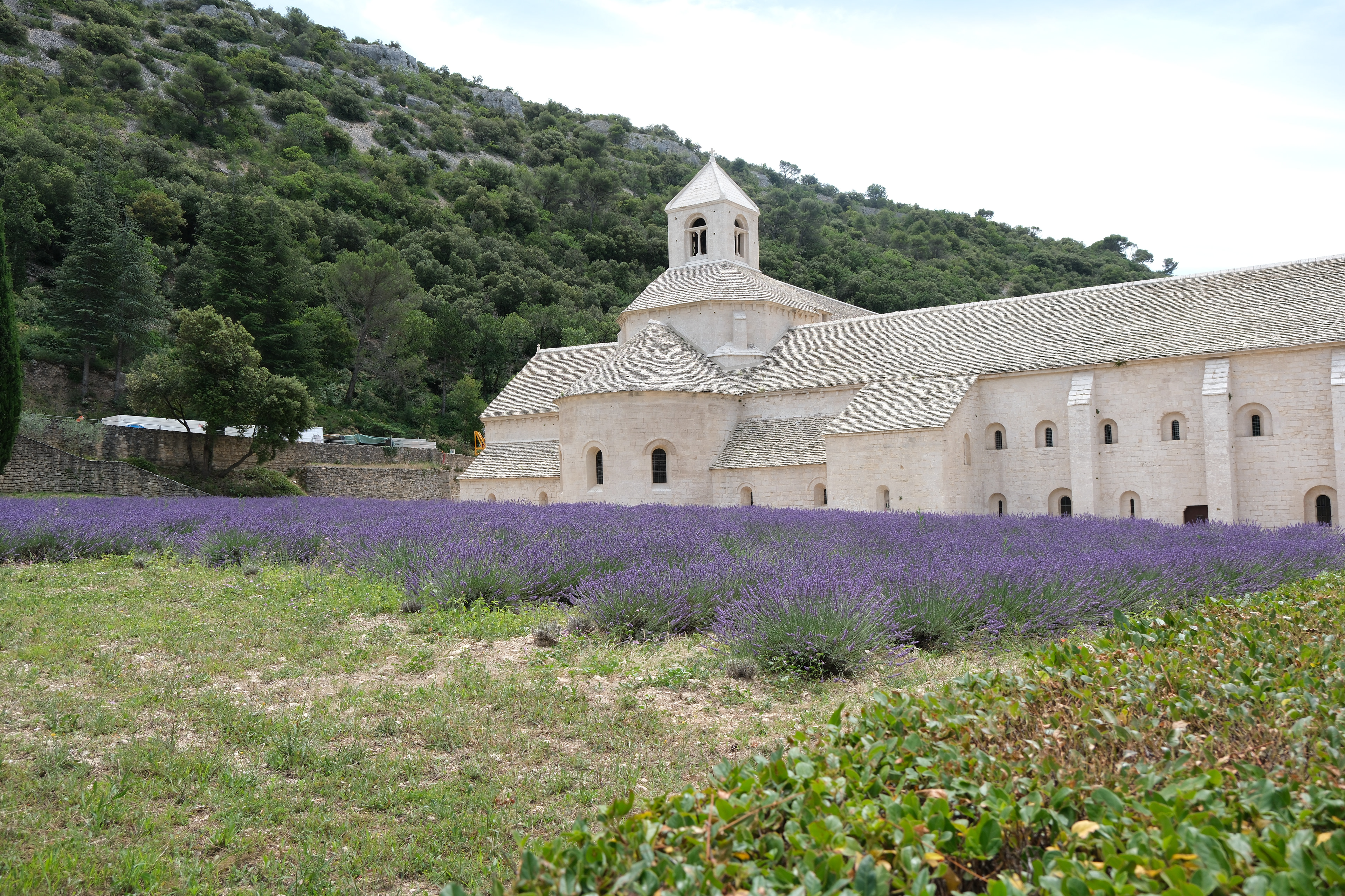 21 - Abbaye de Senanque