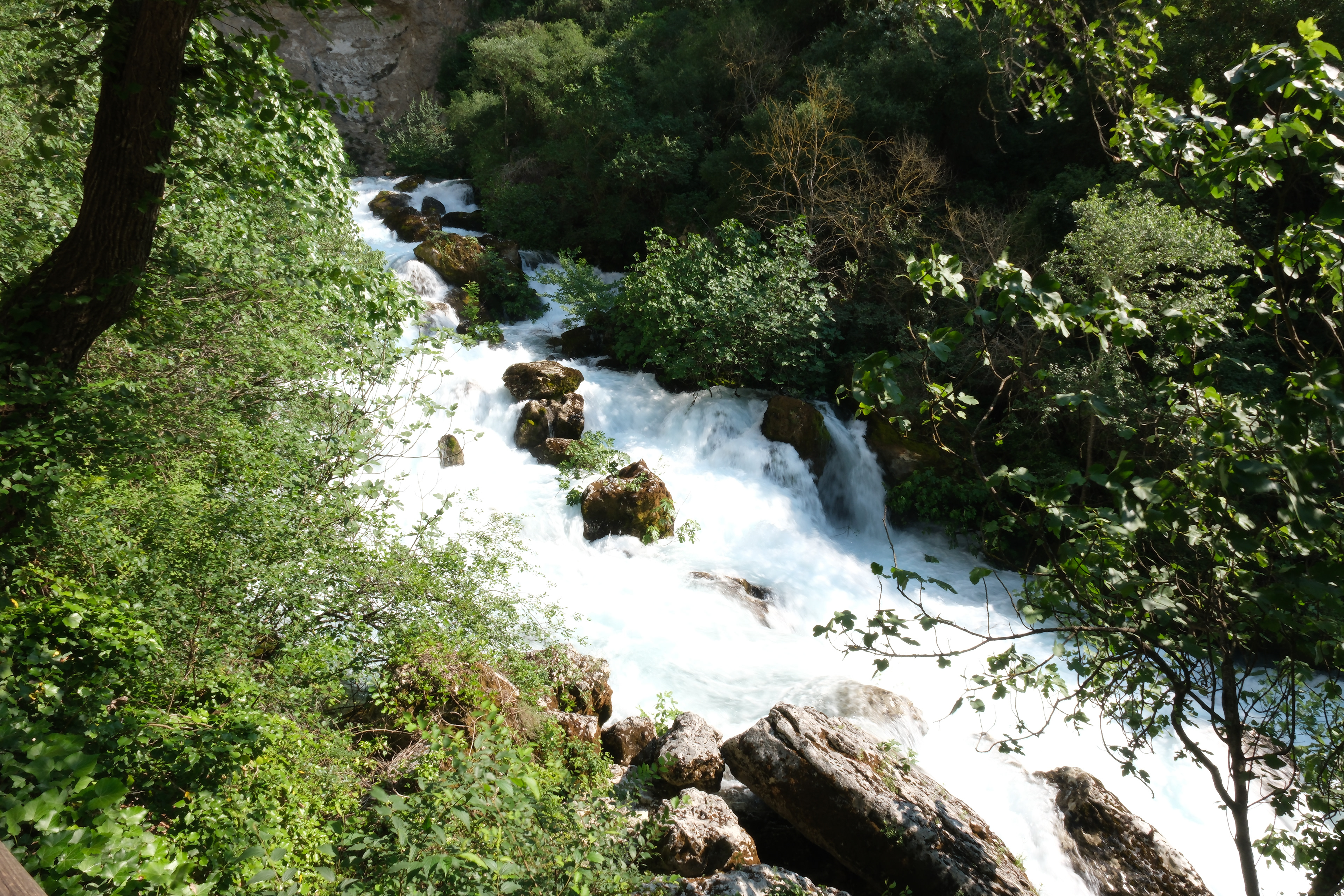 24 - Source de la Sorgue à Fontaine de Vaucluse