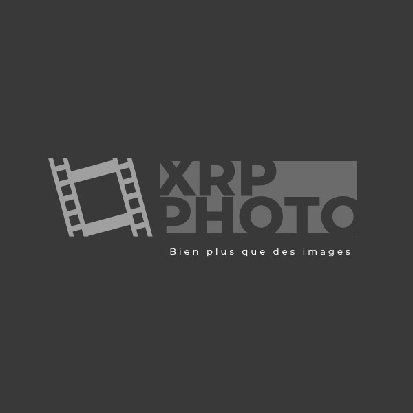Logo de XRP Photo