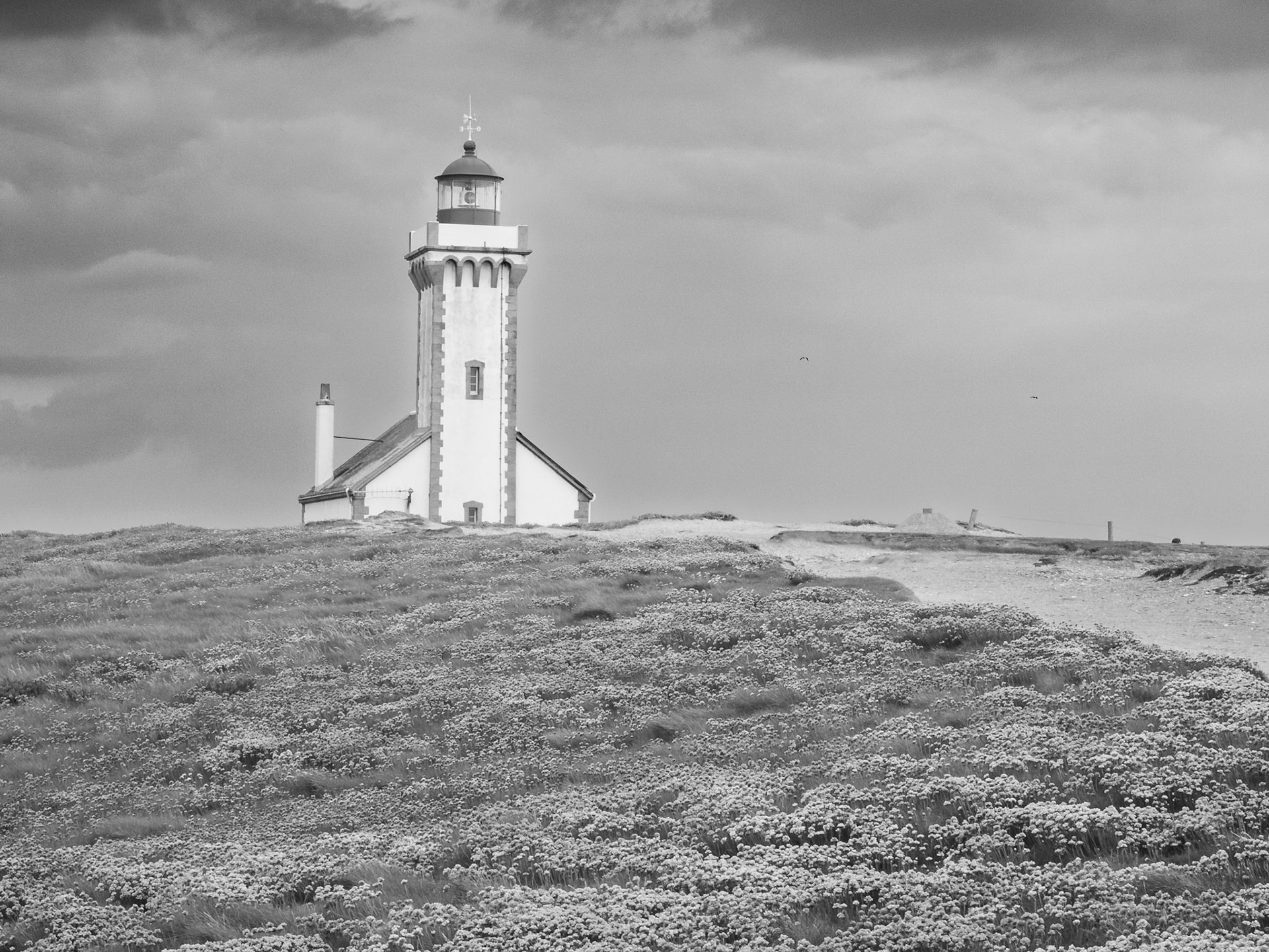 Le phare de la pointe des Poulains Belle Ile en Mer