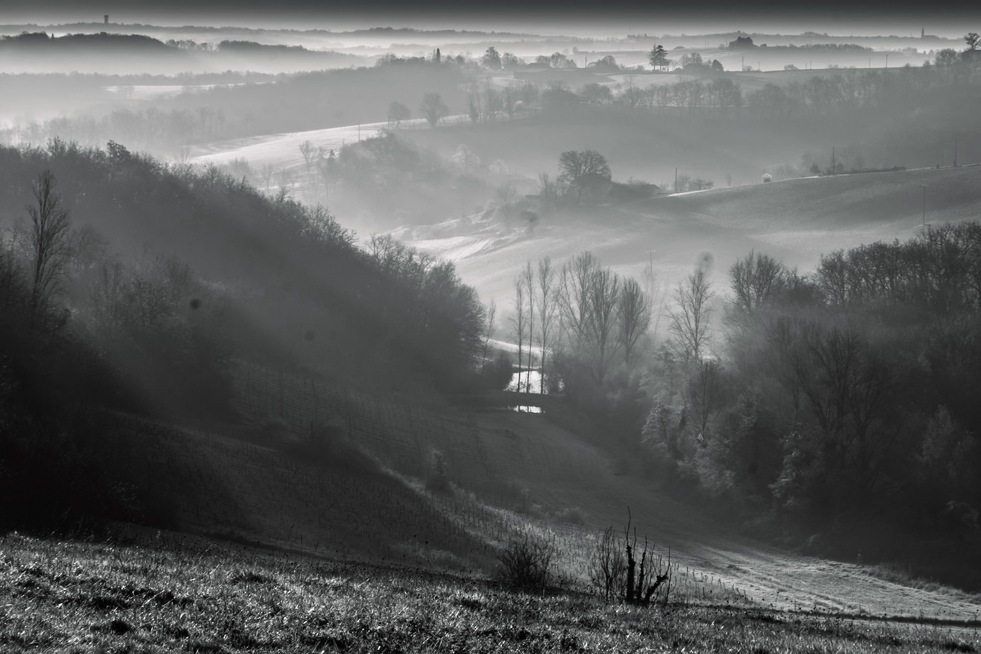 coteaux du quecy au petit matin