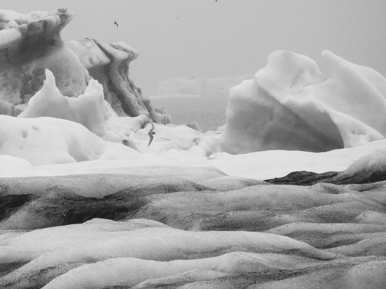 glacier en mer d'islande