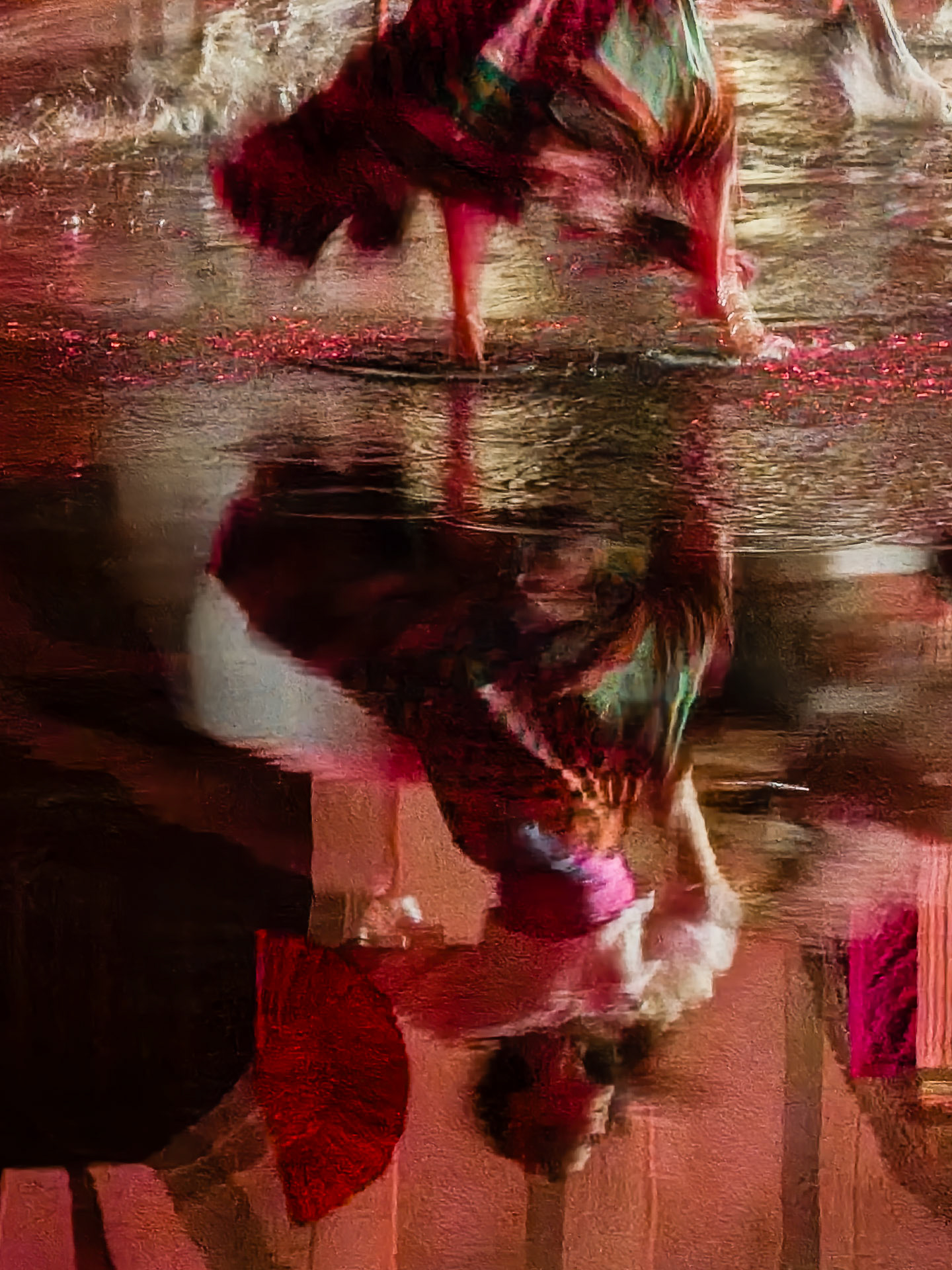 Reflet flamenco