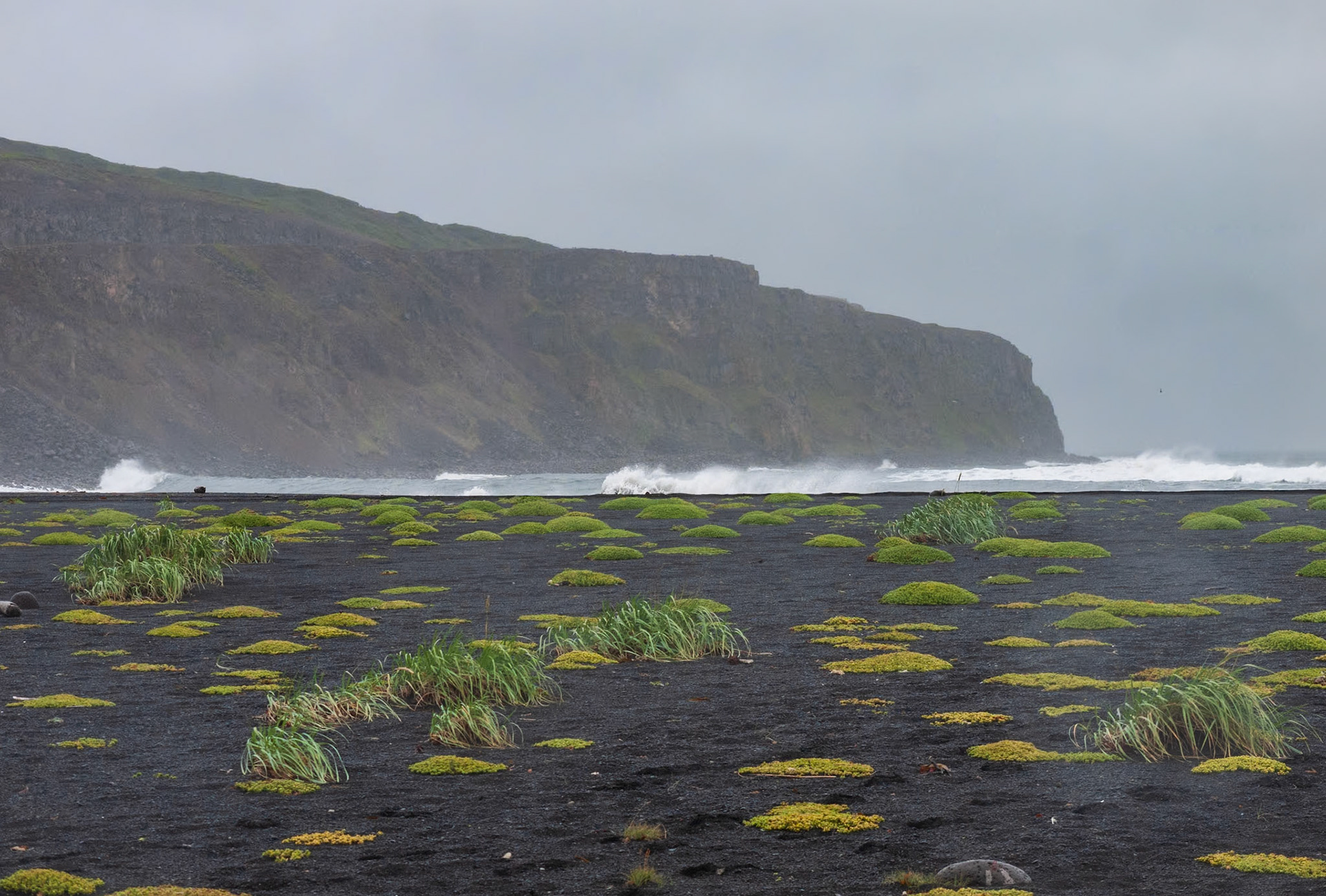 Plage volcanique , islande