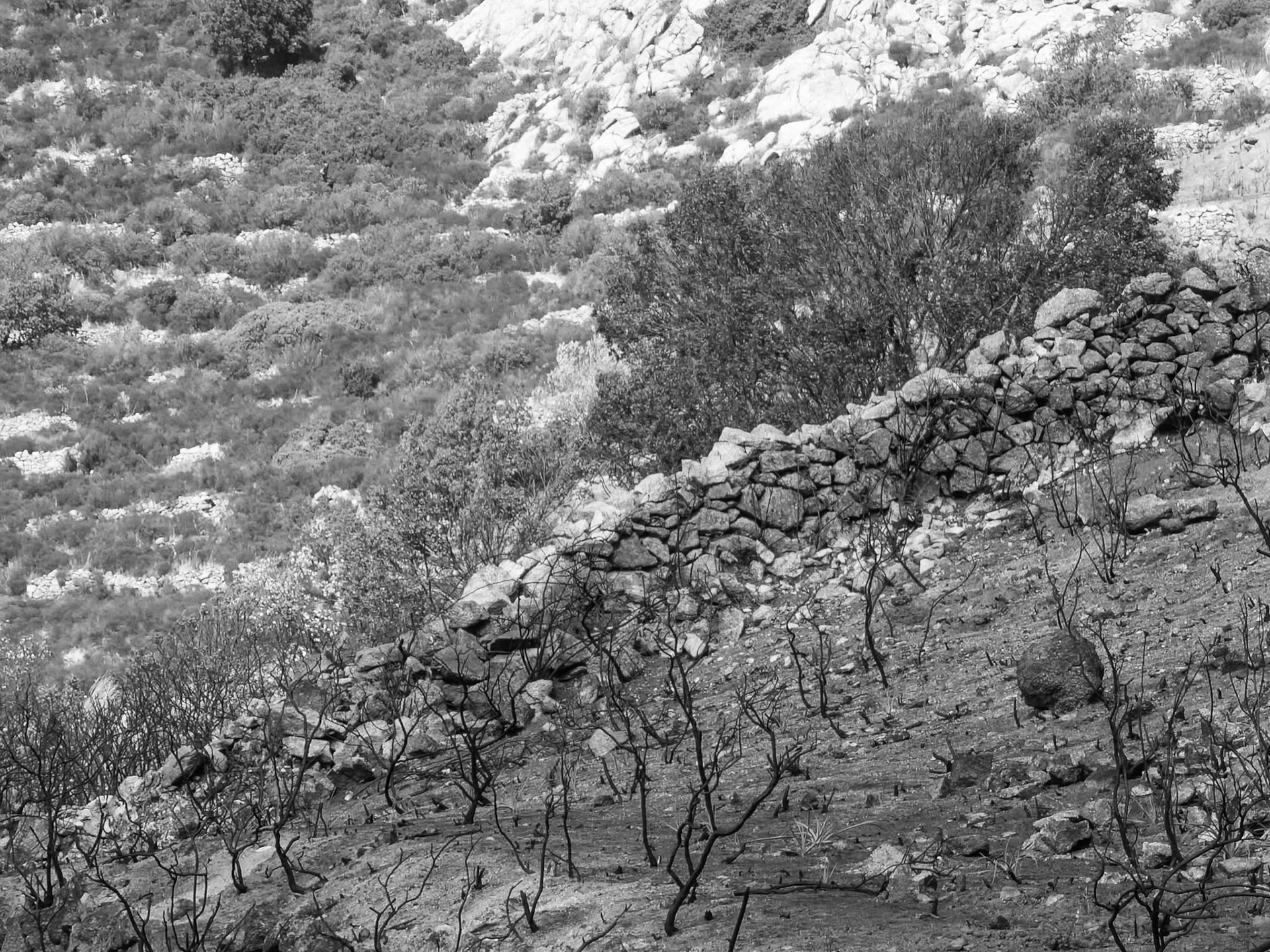 sur les sentiers de corse