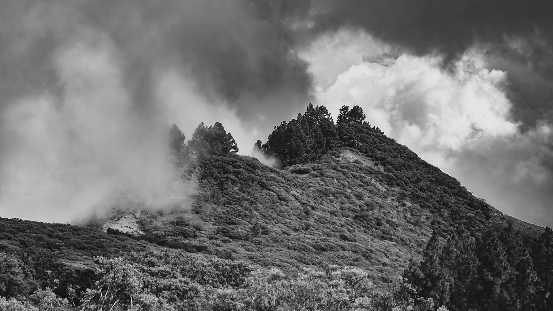 Panorama des Canaries