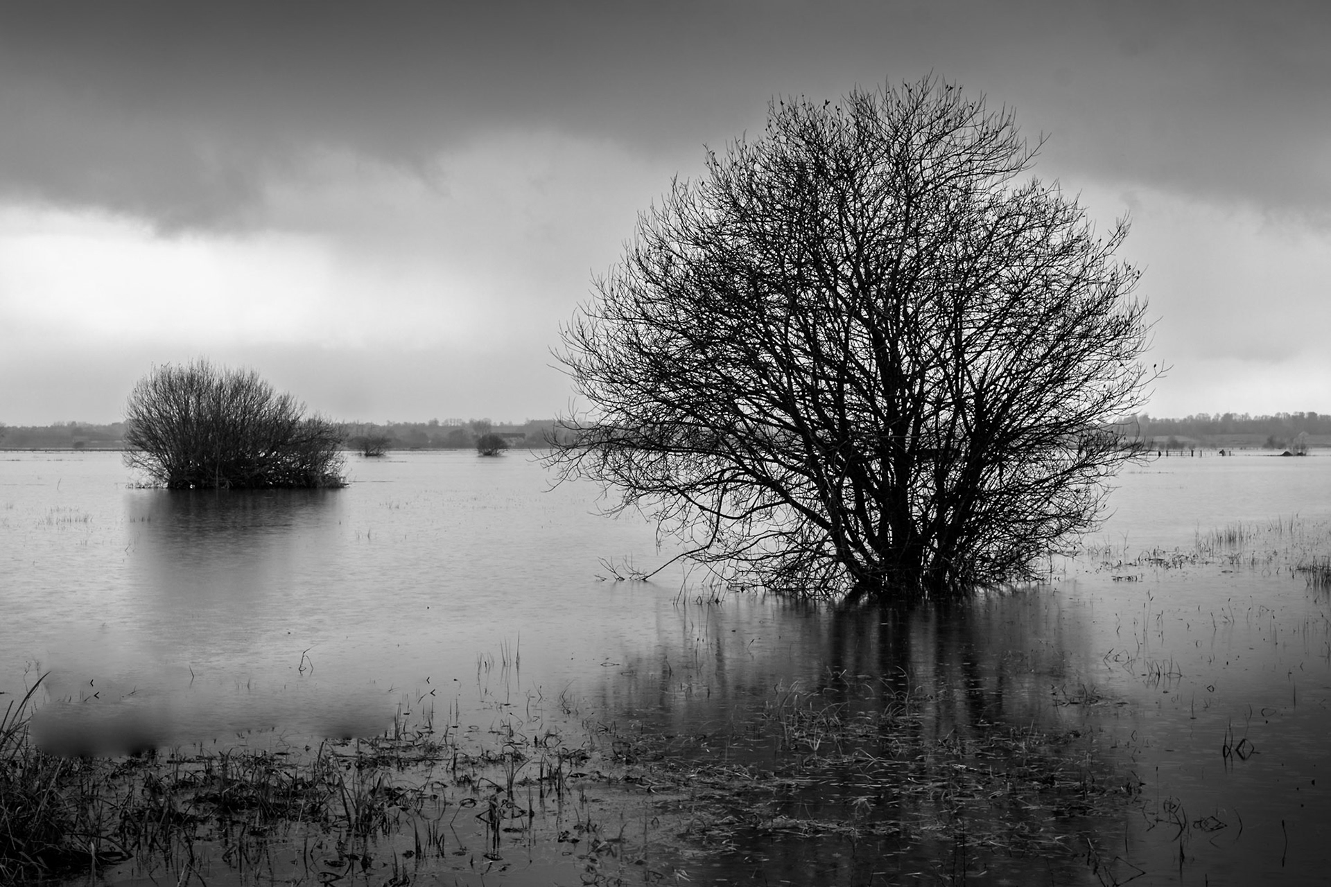 MArais du bessin en hivers