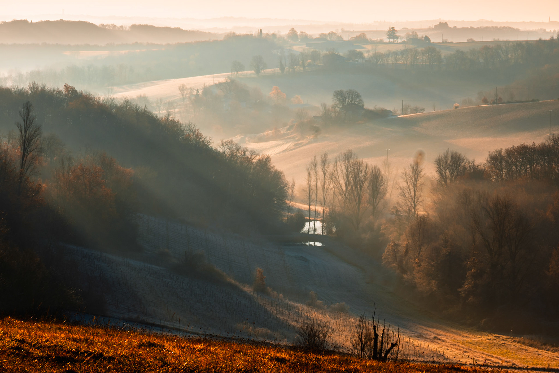 coteaux du quecy au petit matin