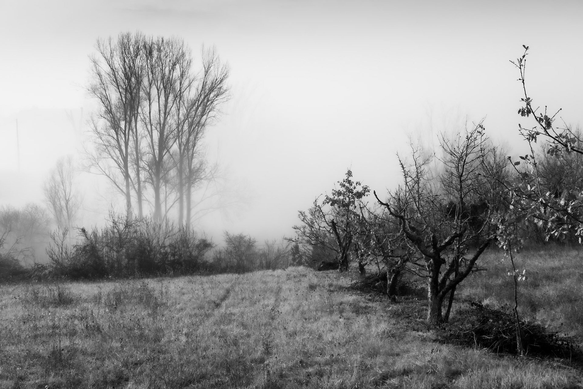 campagne du tarn et garonne